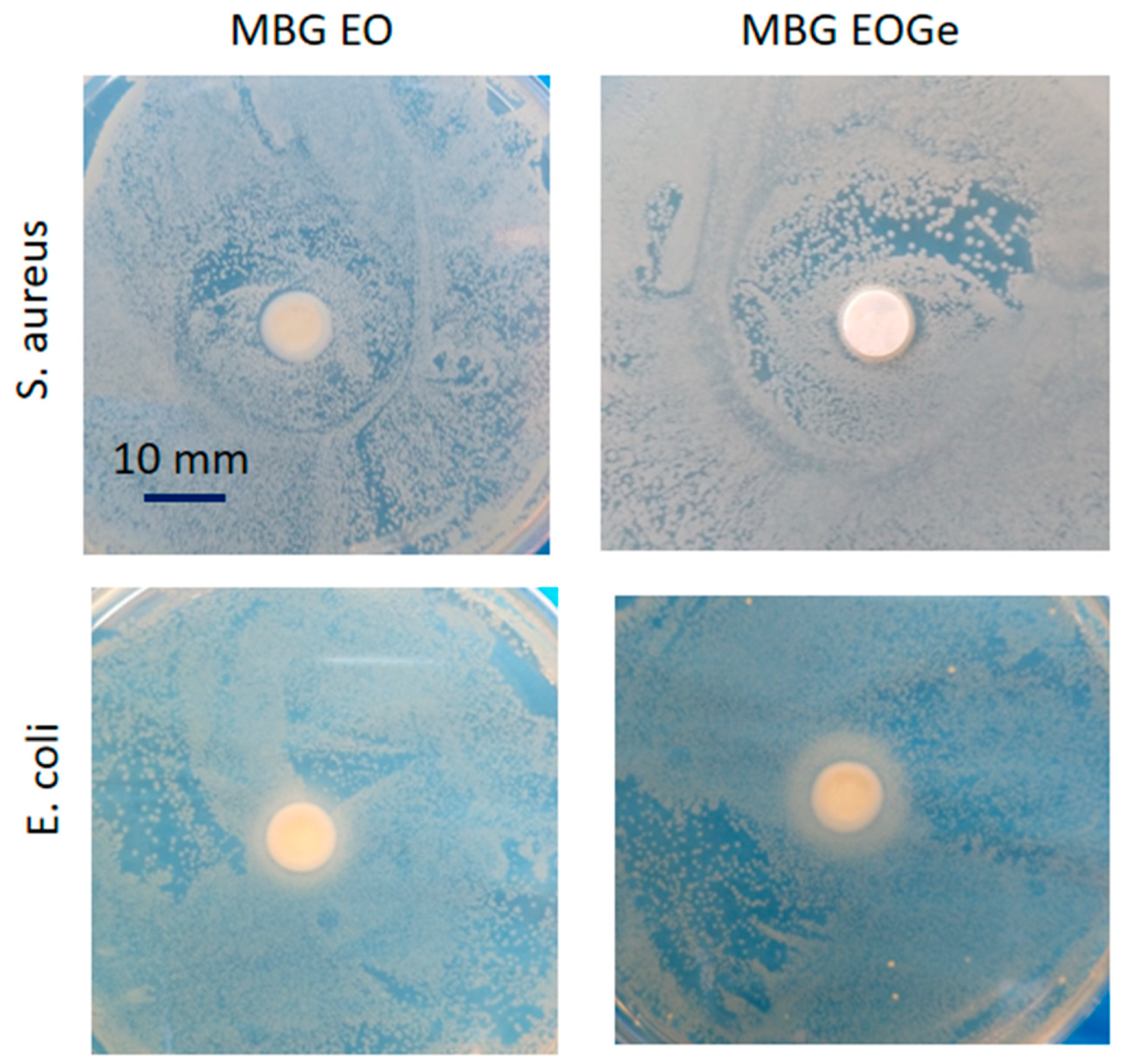 Nanomaterials 13 00034 g010 Nanomaterials 13 00034 g010