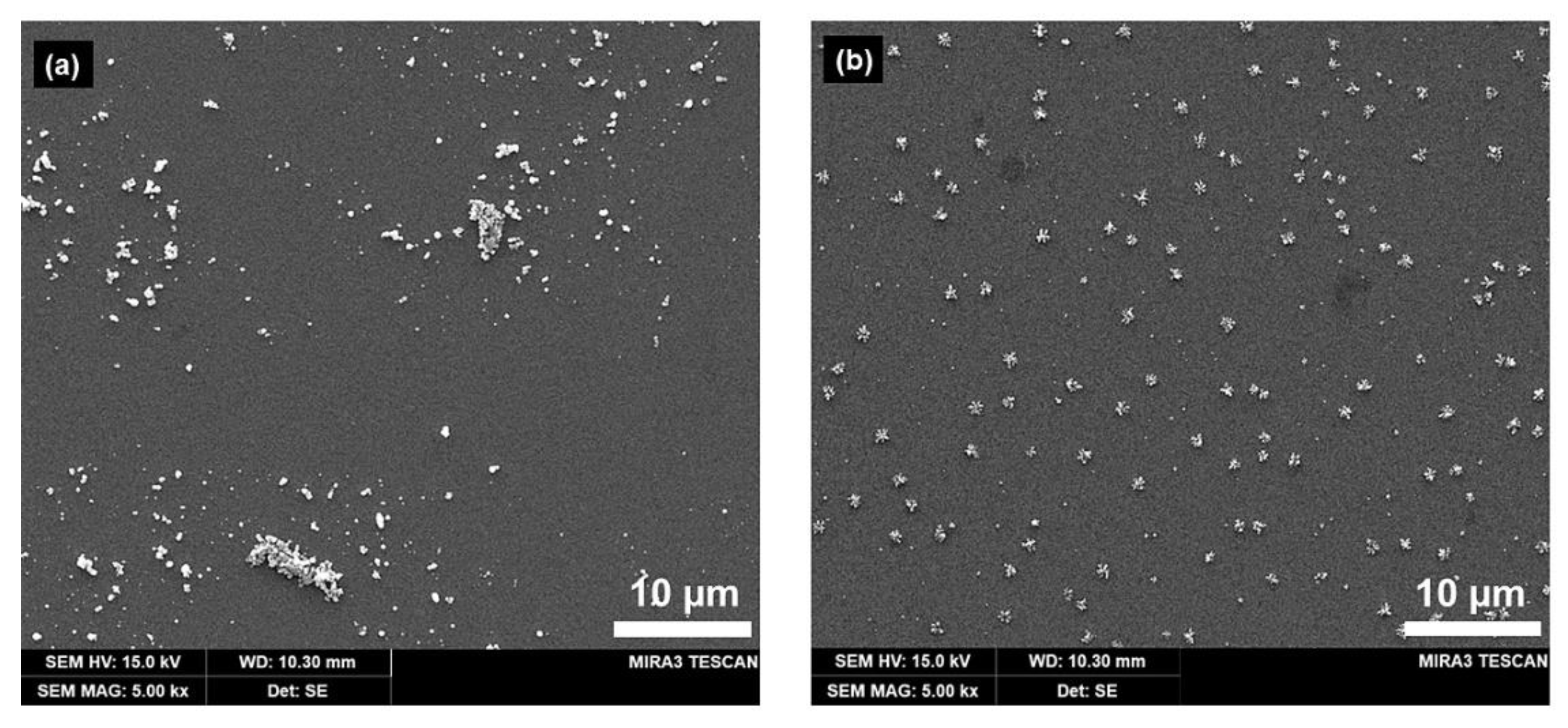 Nanomaterials 13 00048 g004 Nanomaterials 13 00048 g004