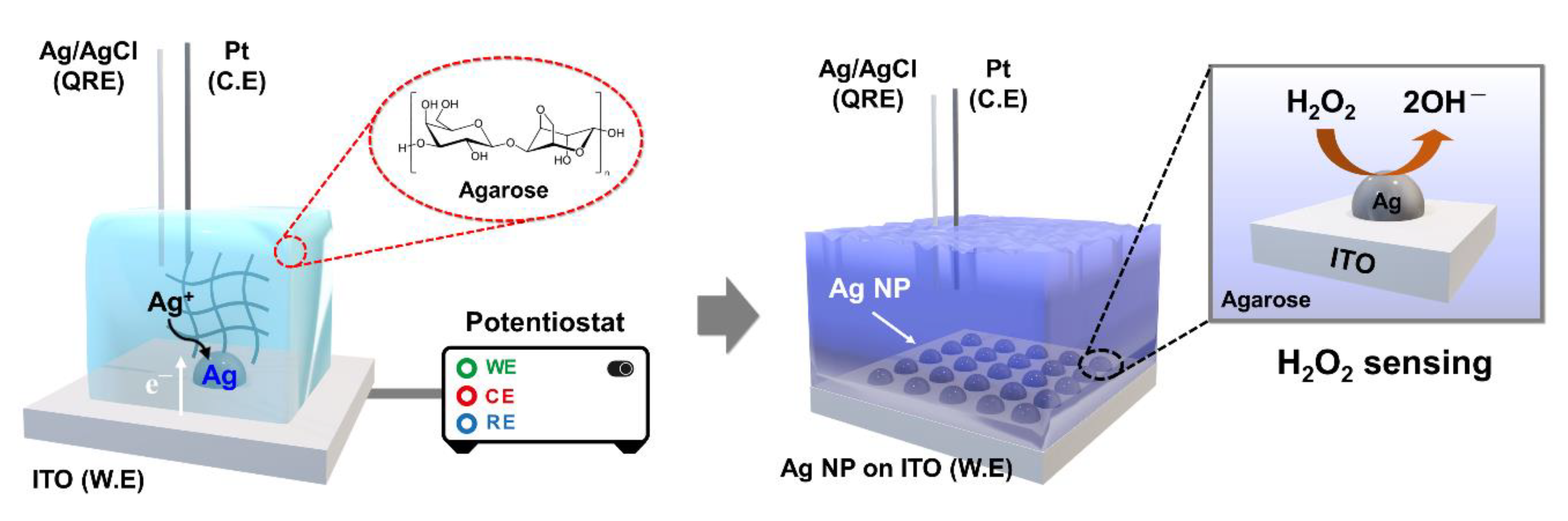 Nanomaterials 13 00048 sch001 Nanomaterials 13 00048 sch001
