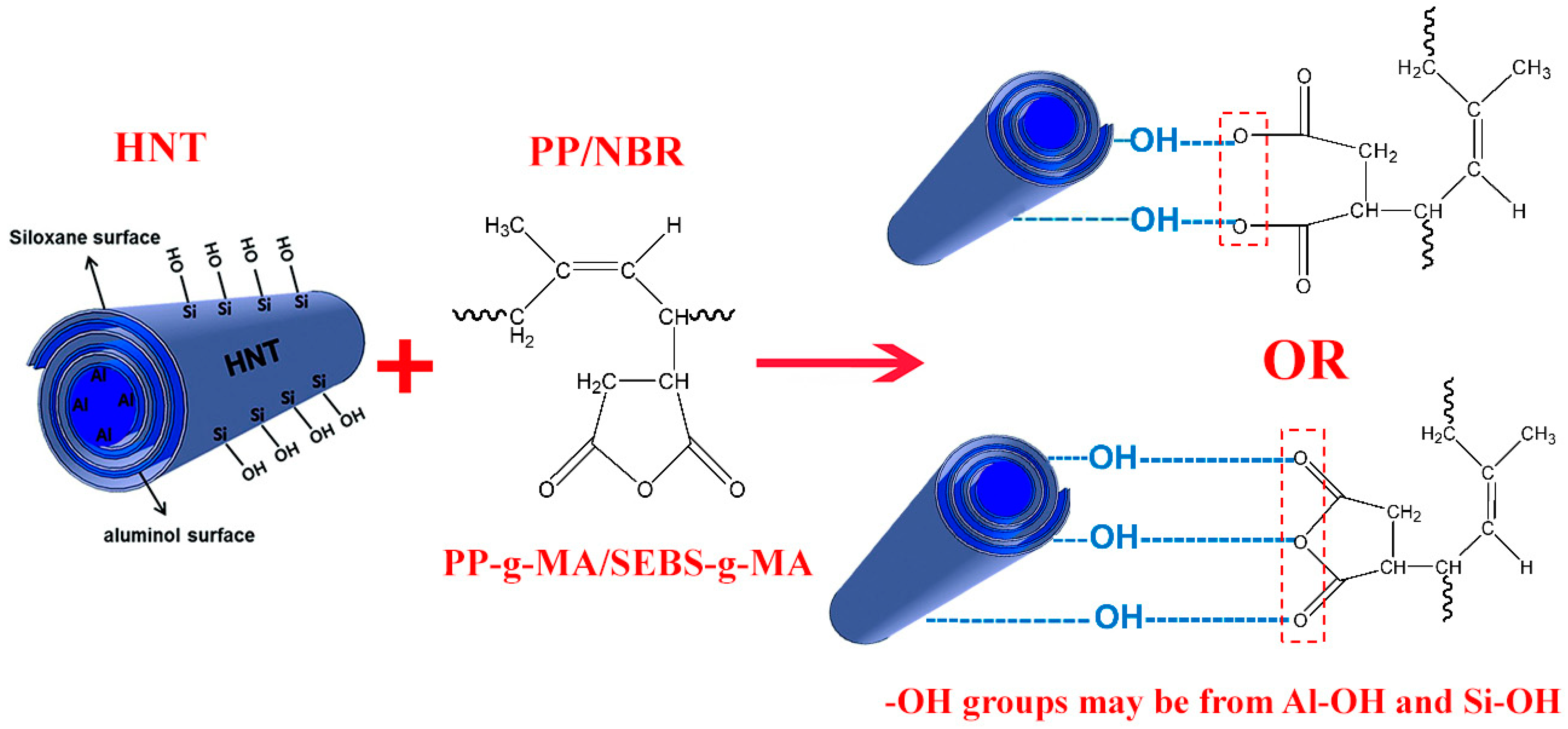 Nanomaterials 13 00049 g006
