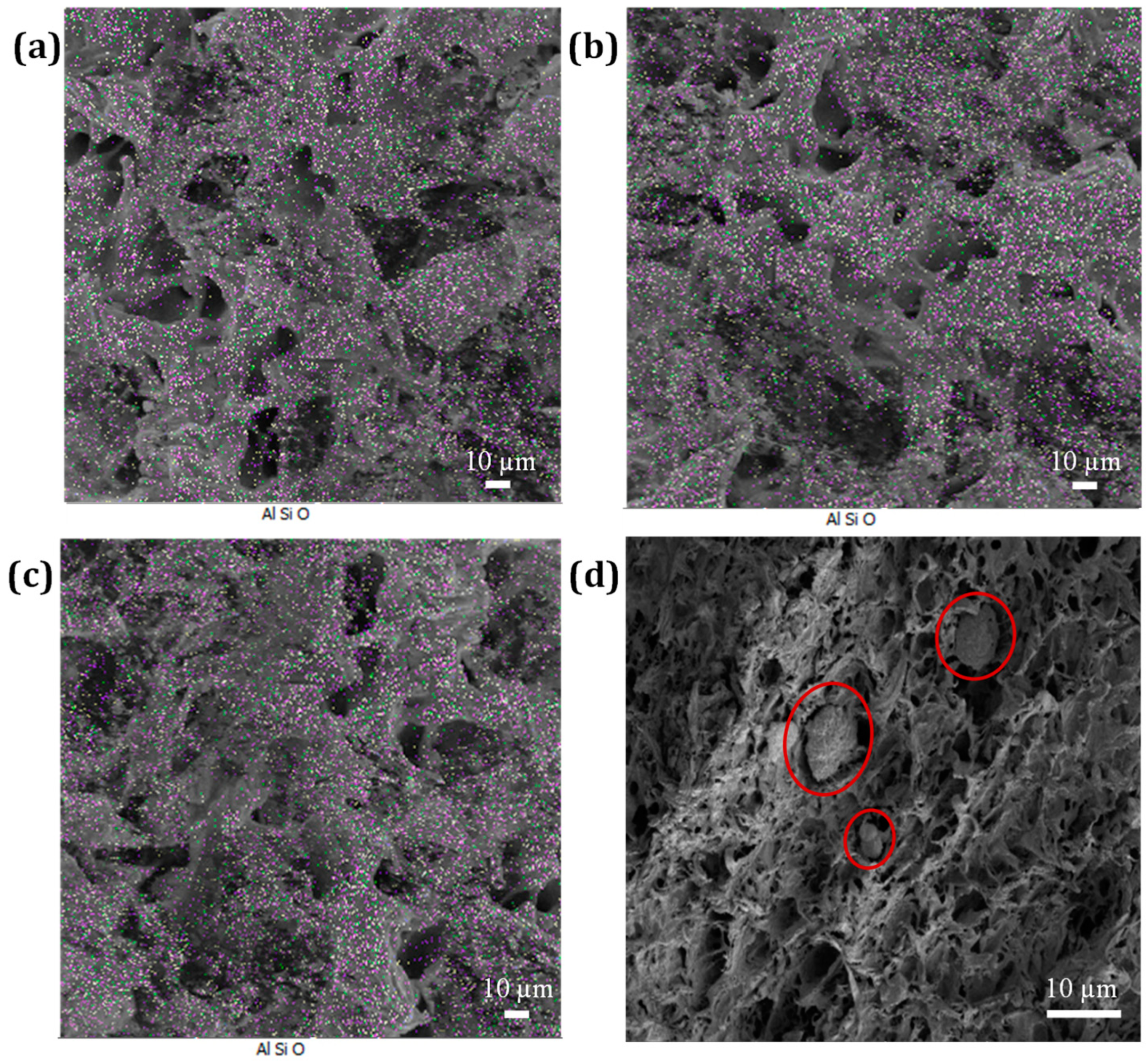 Nanomaterials 13 00049 g007