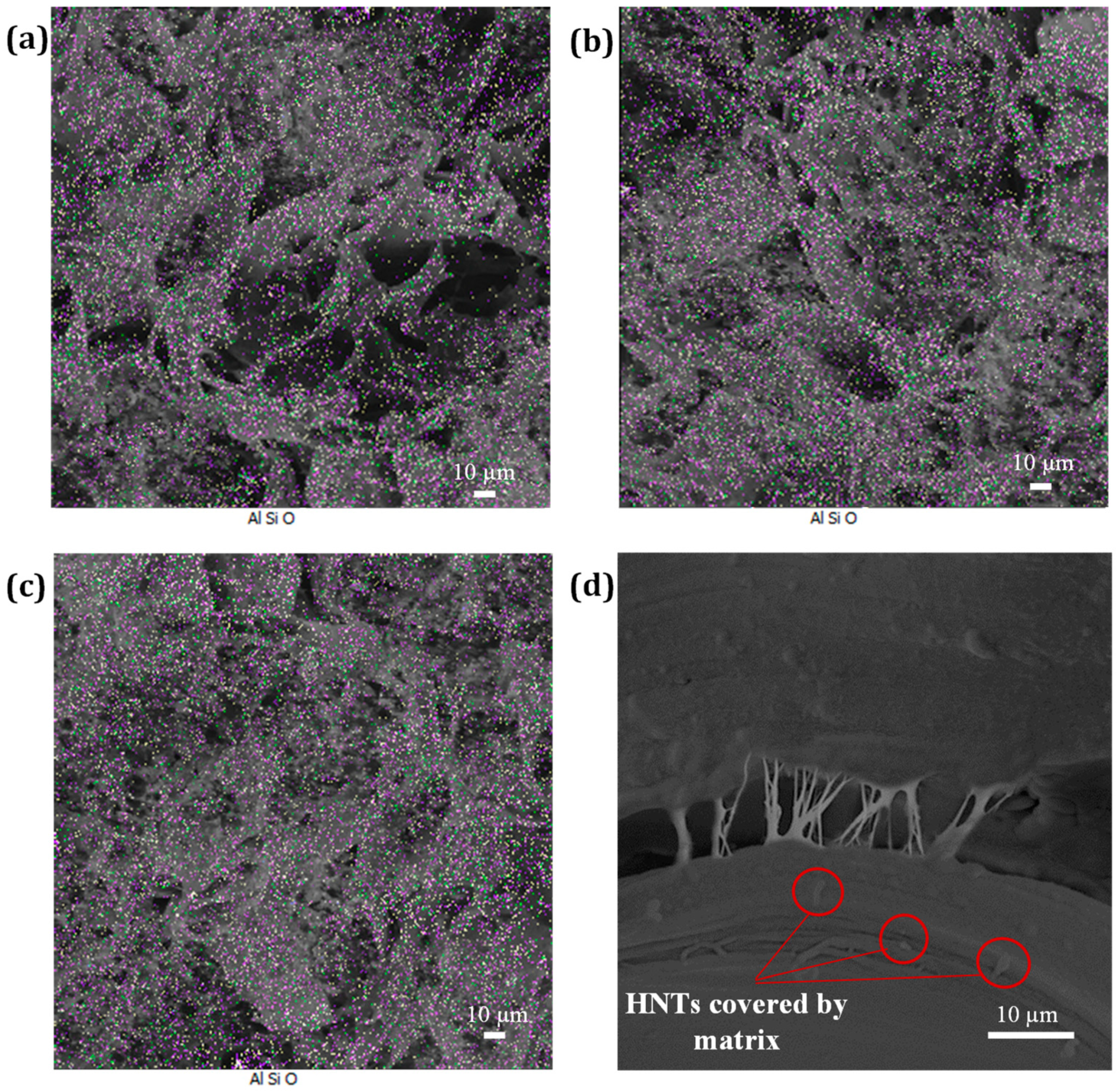 Nanomaterials 13 00049 g008