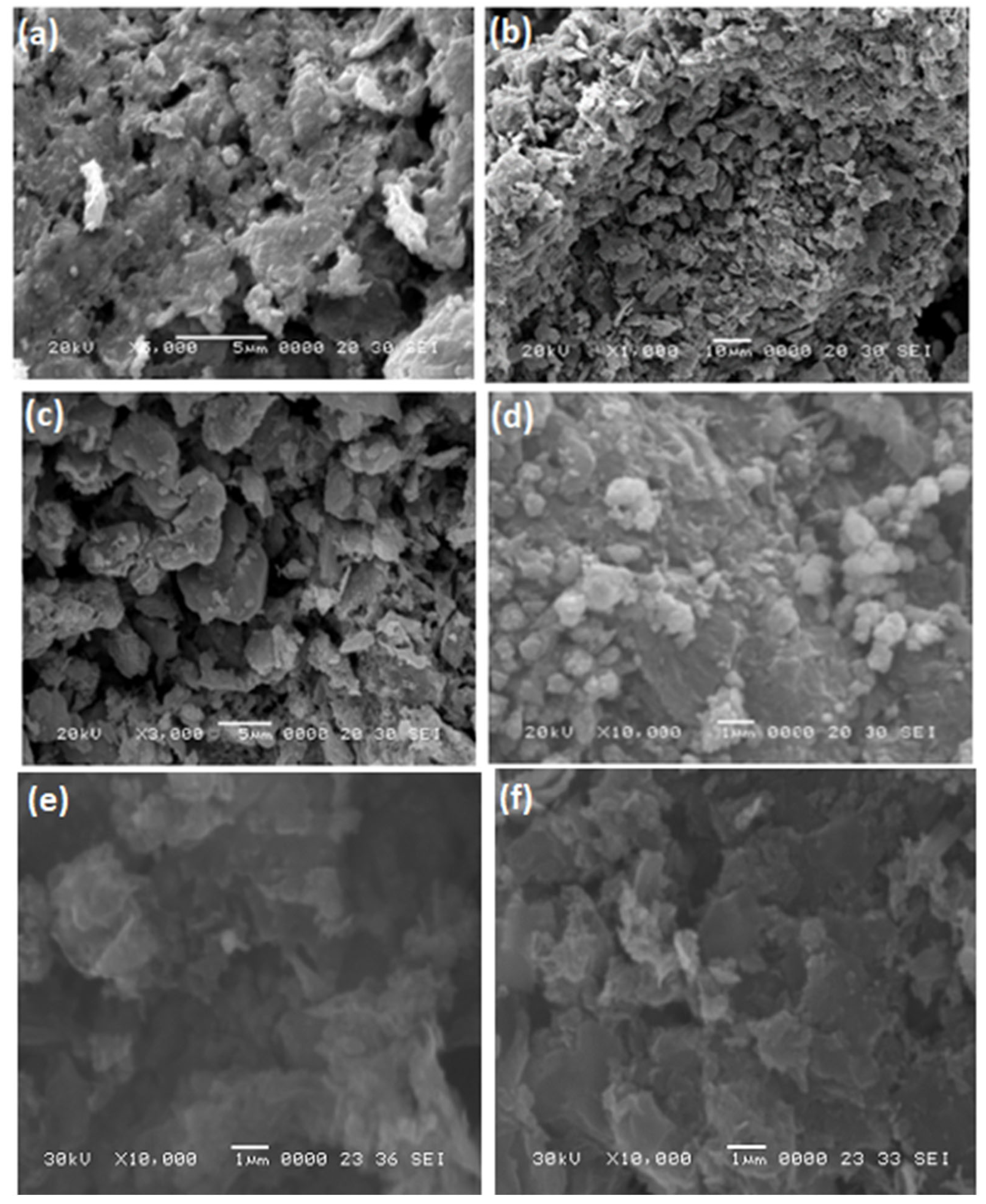 Nanomaterials 13 00055 g003