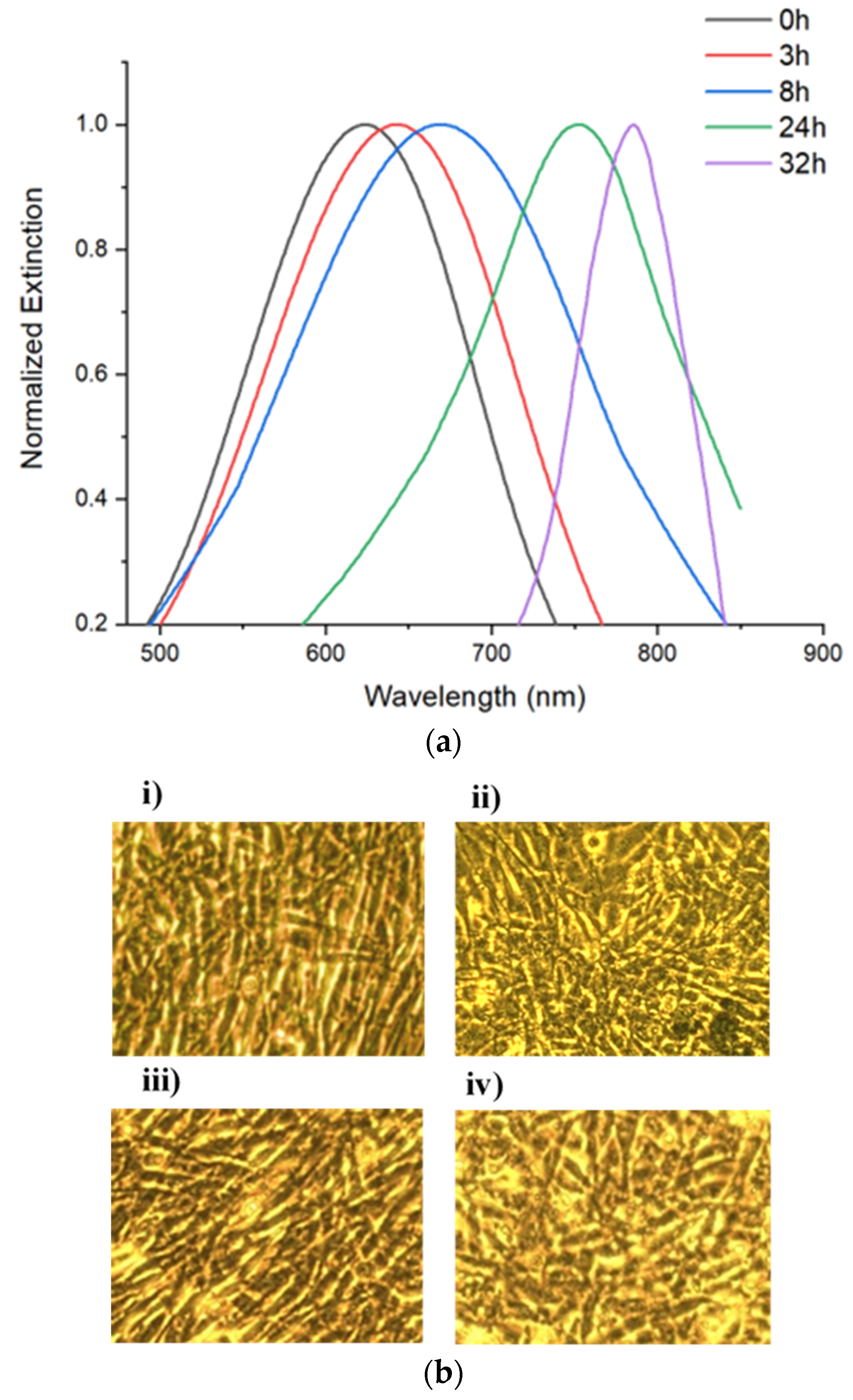 Nanomaterials 13 00057 g004