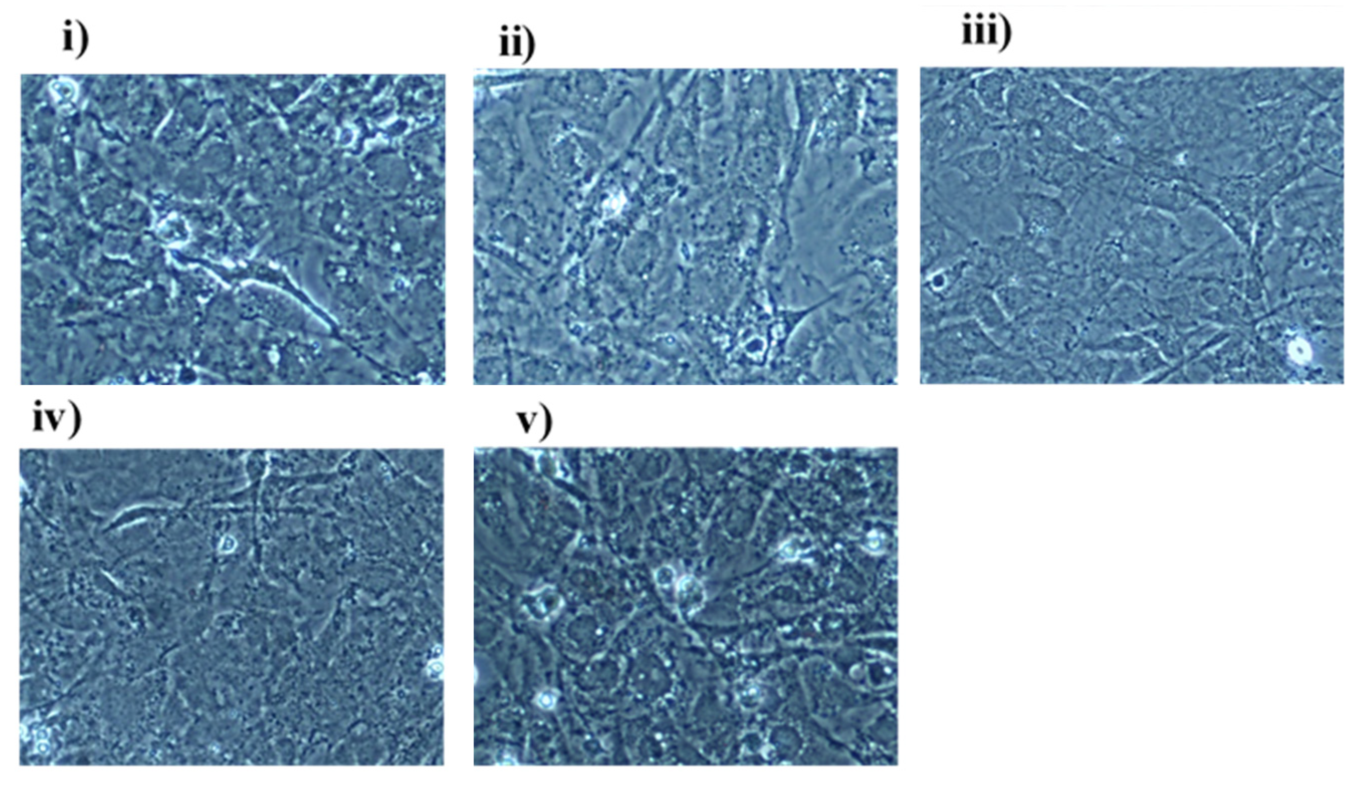 Nanomaterials 13 00057 g006