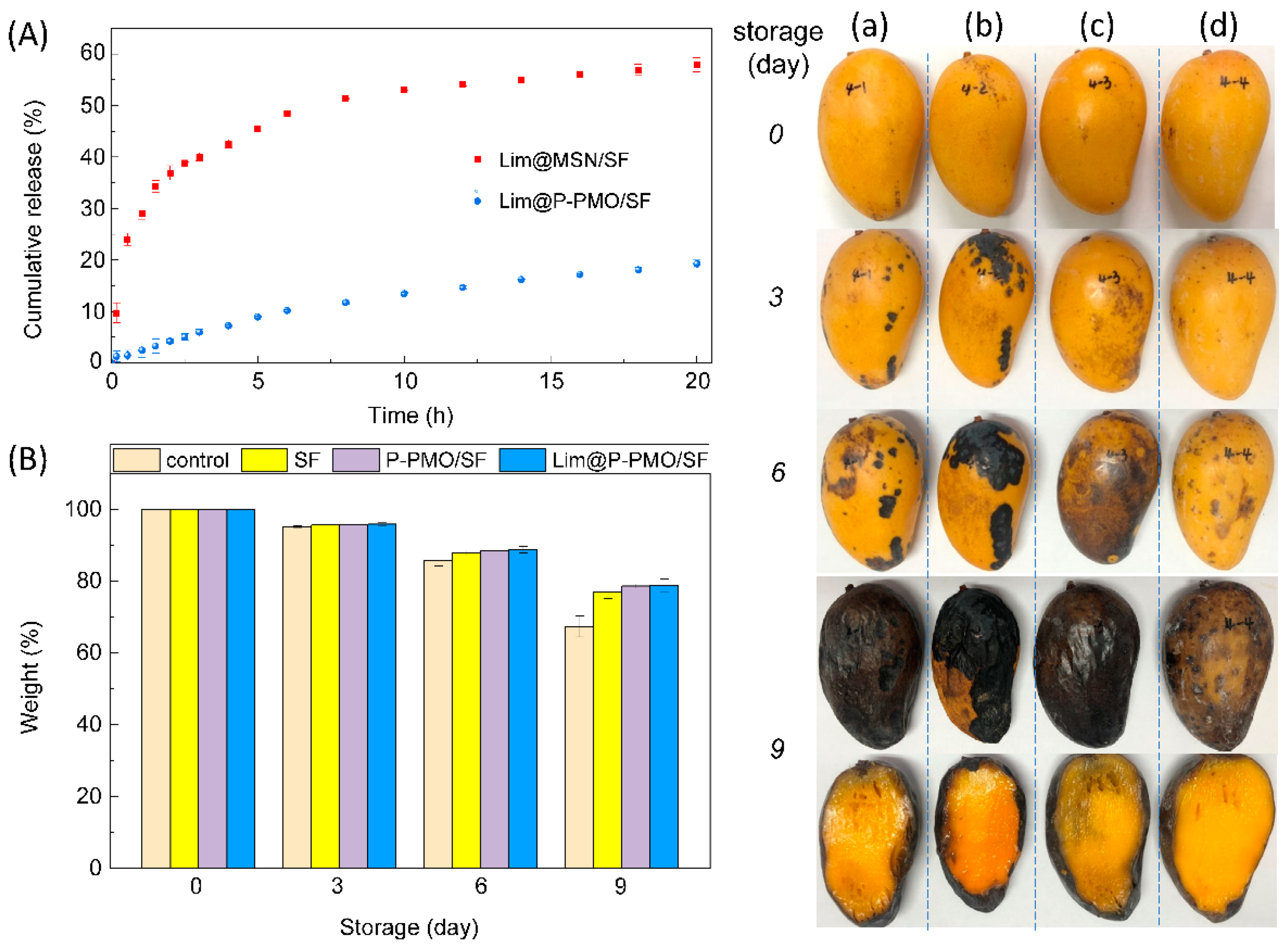 Nanomaterials 13 00104 g004 Nanomaterials 13 00104 g004
