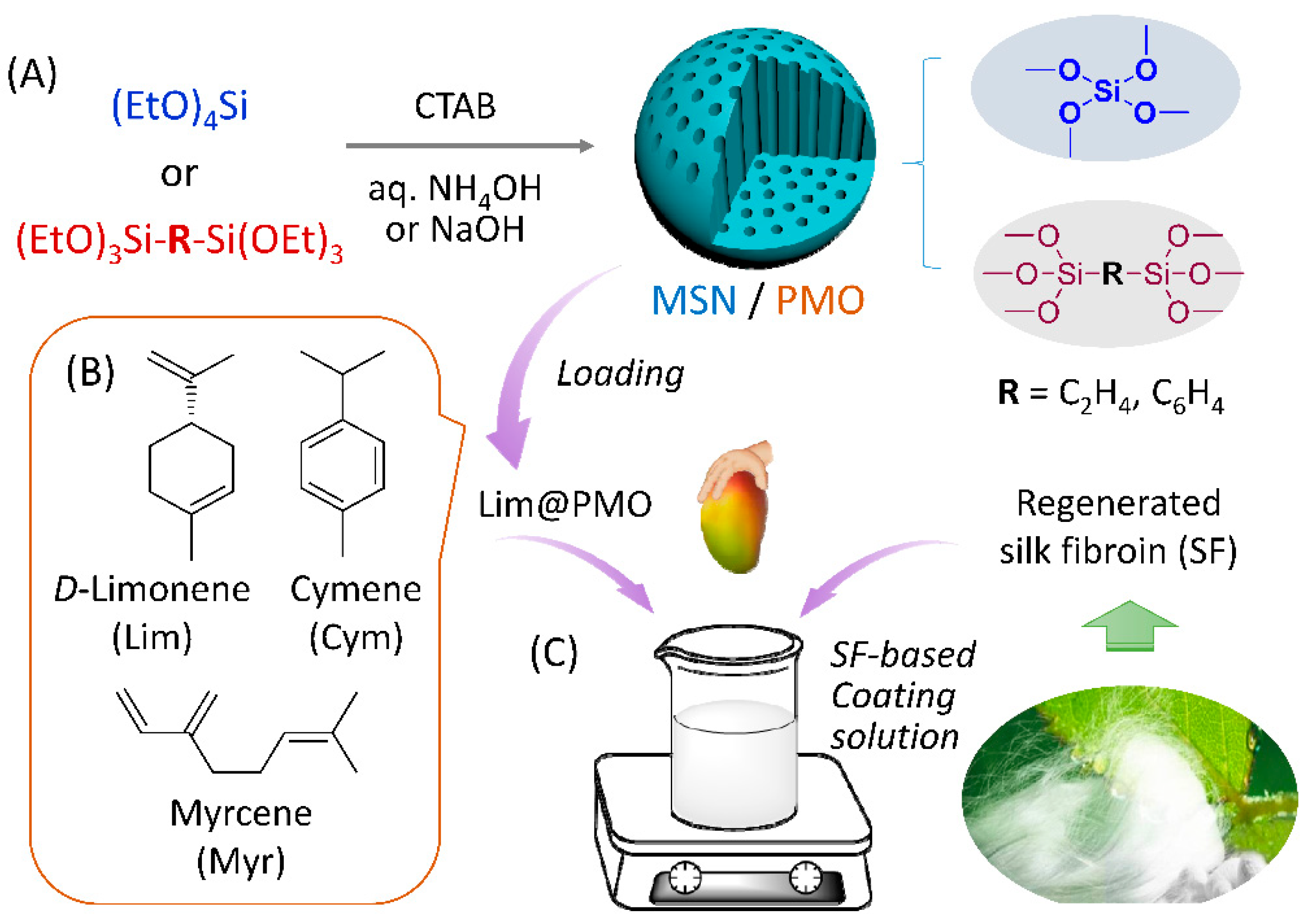 Nanomaterials 13 00104 sch001 Nanomaterials 13 00104 sch001