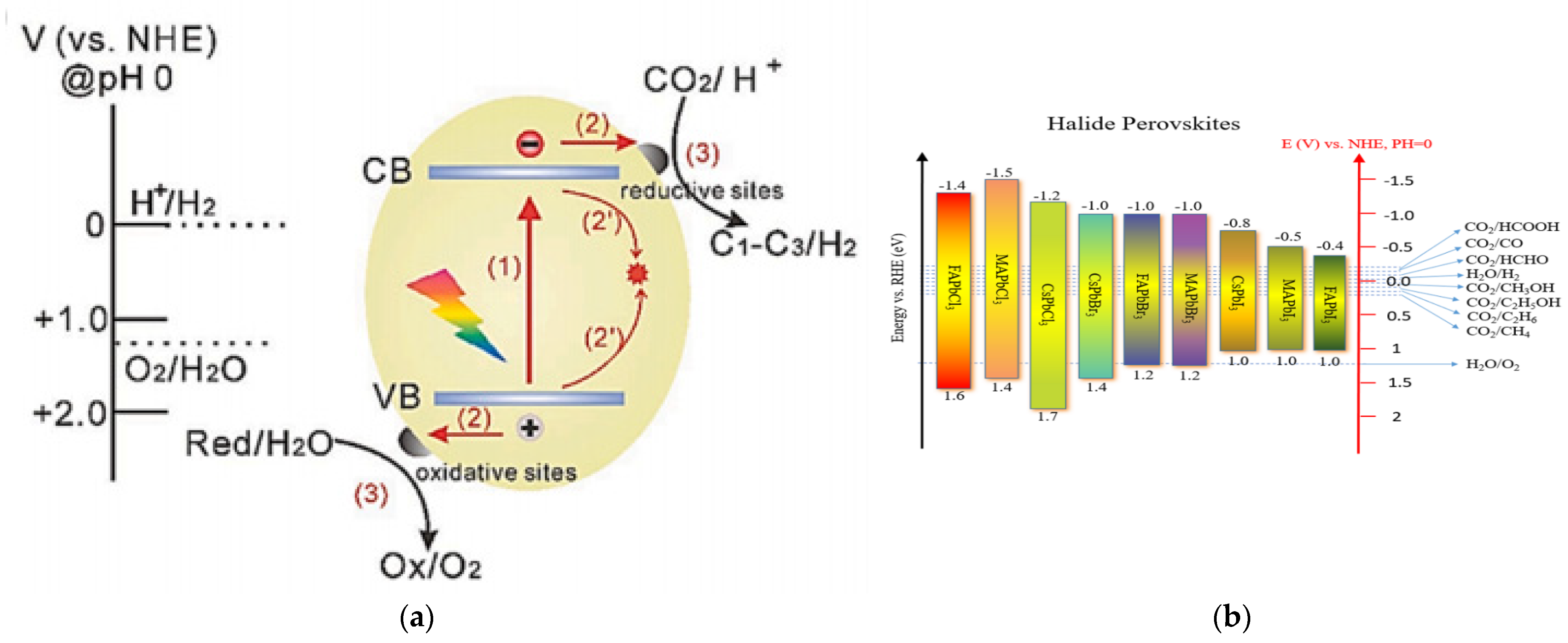 Nanomaterials 13 00106 g002
