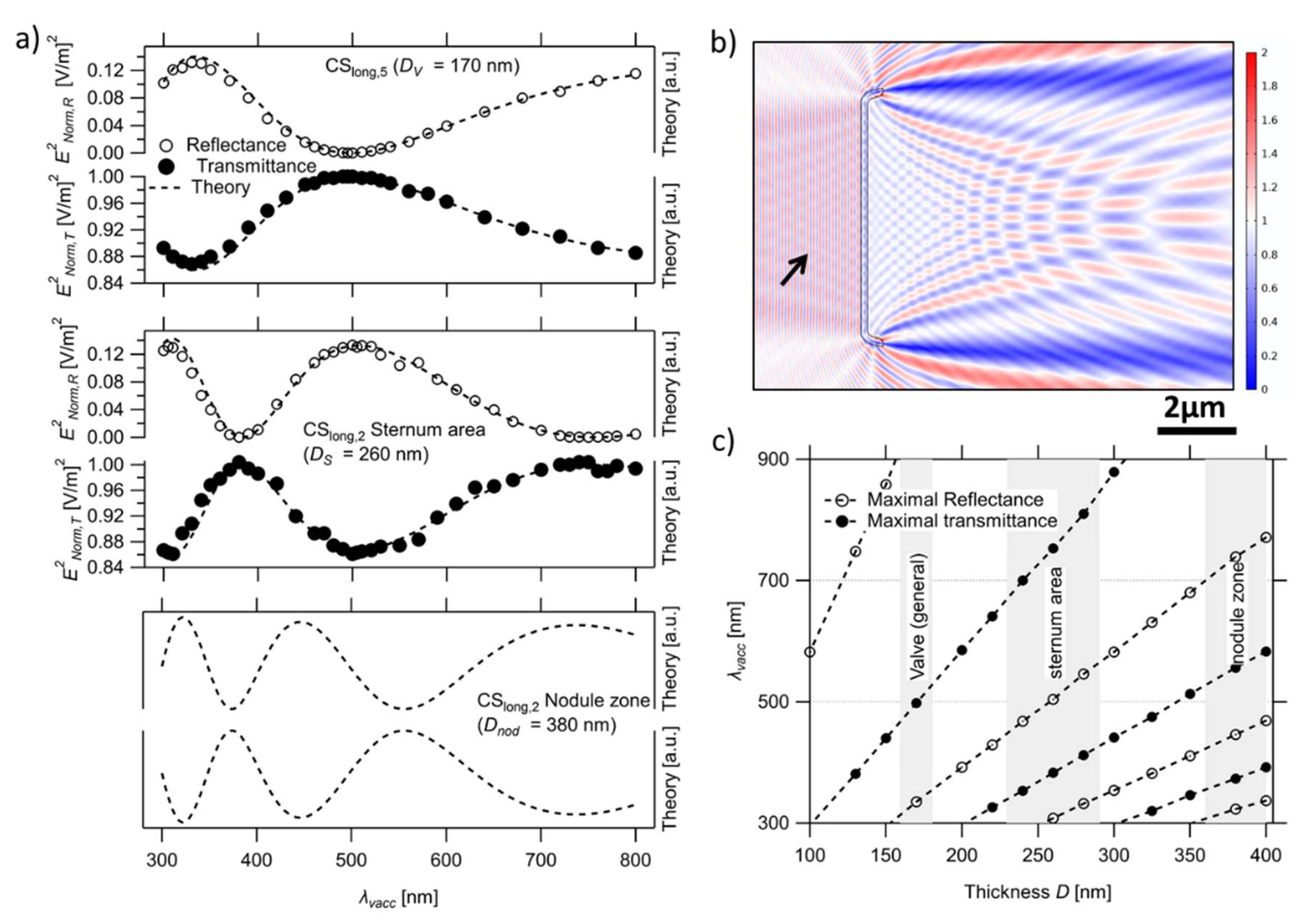 Nanomaterials 13 00113 g003 Nanomaterials 13 00113 g003