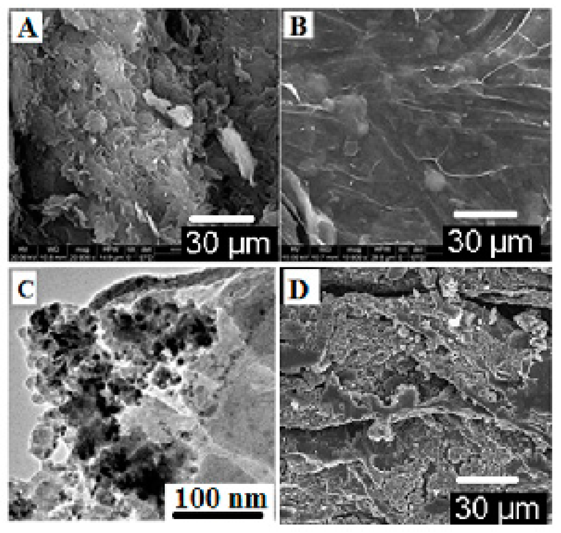 Nanomaterials 13 00137 g002