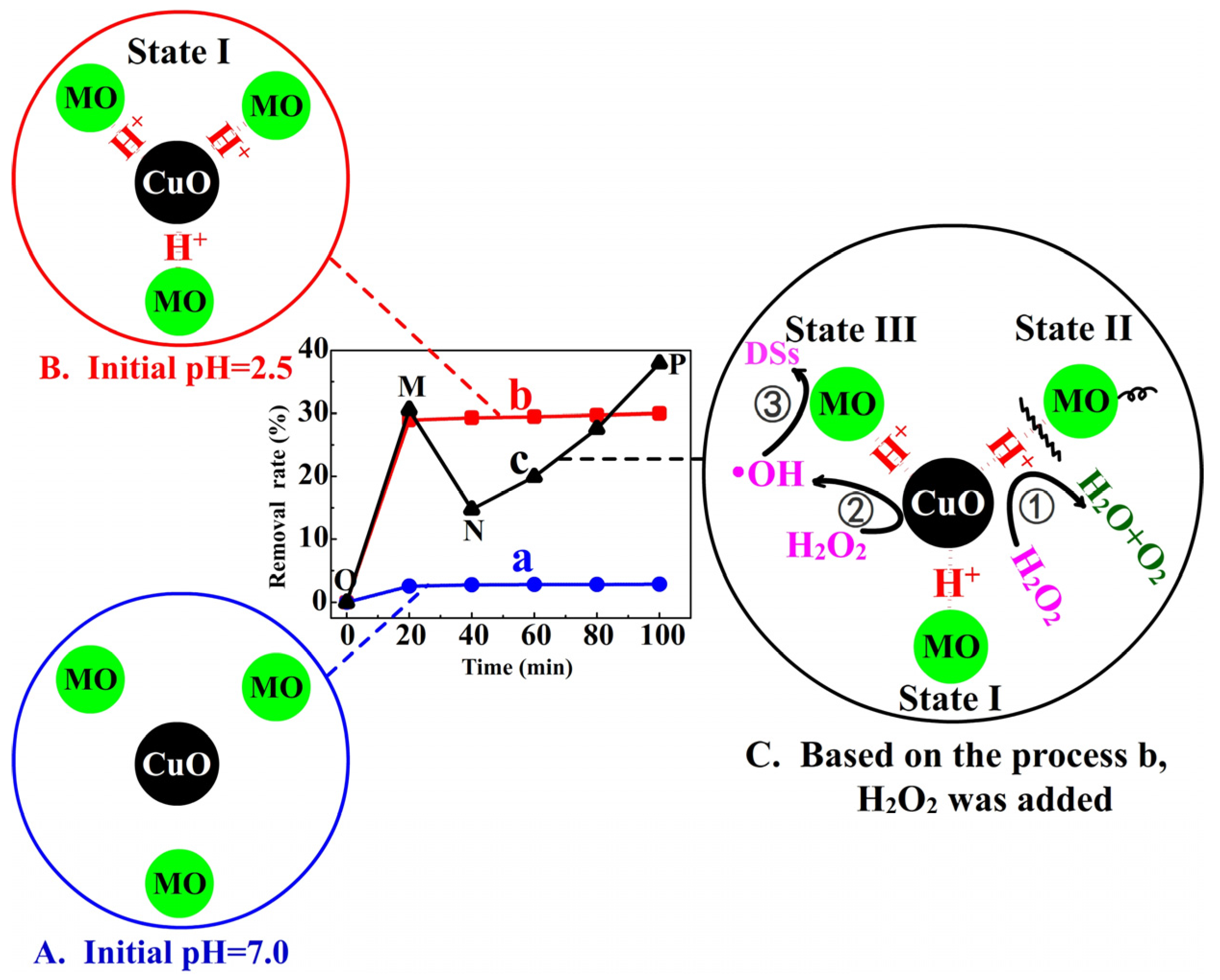 Nanomaterials 13 00142 g006