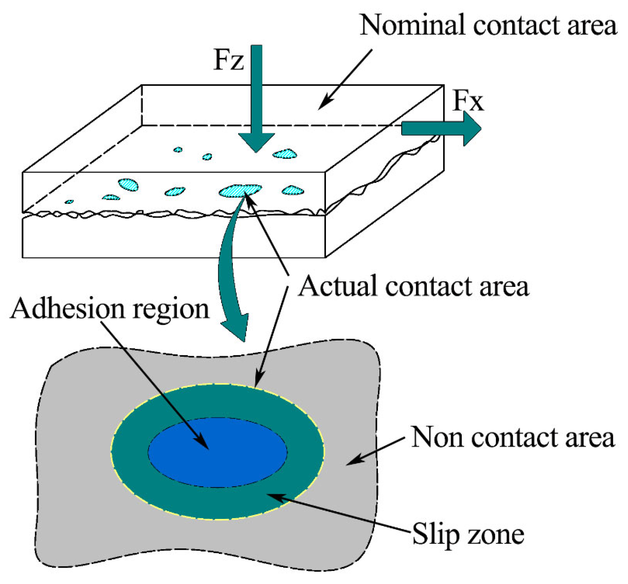 Nanomaterials 13 00152 g002