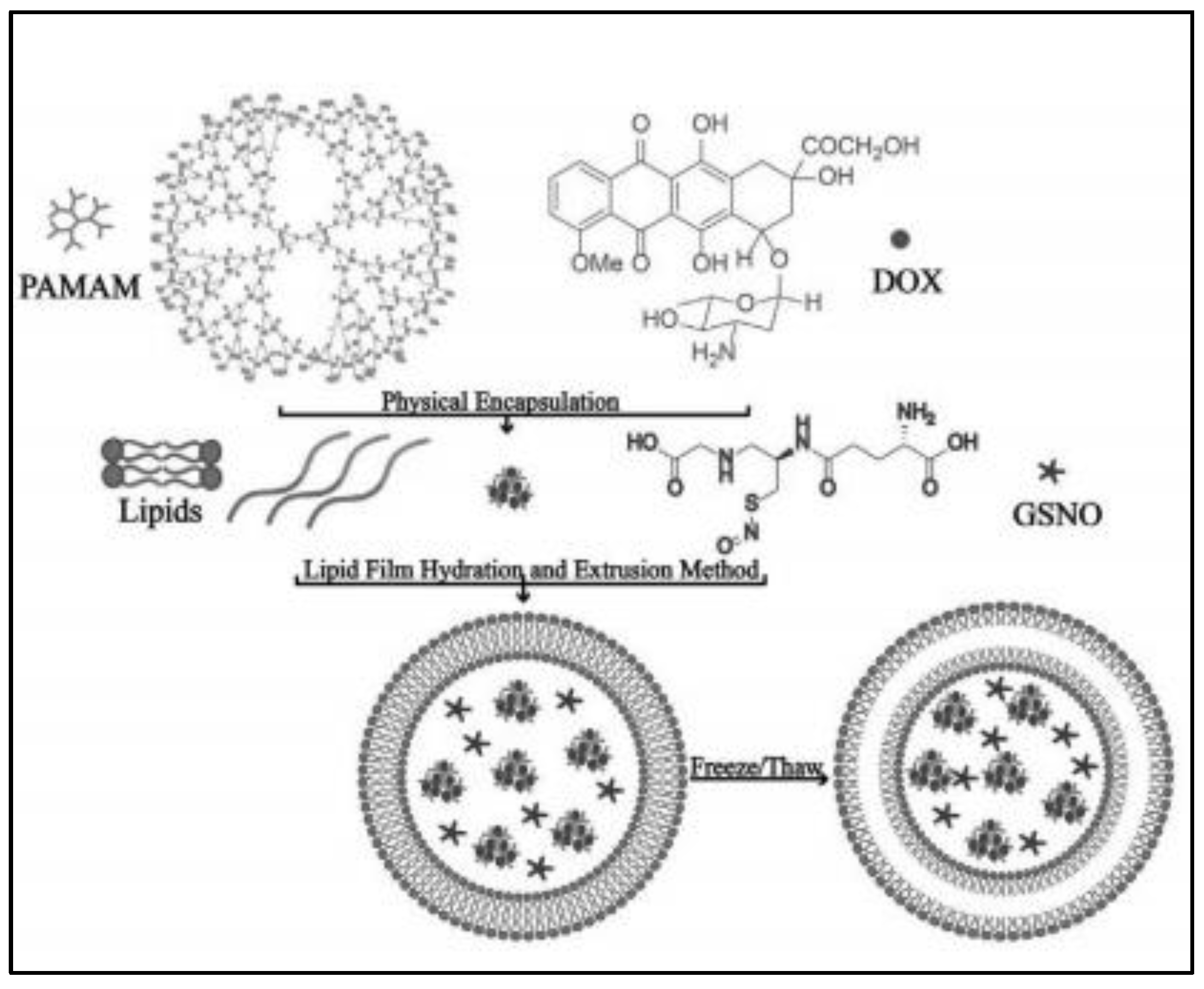 Nanomaterials 13 00224 g002