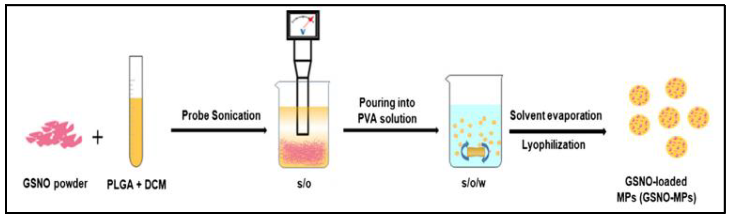 Nanomaterials 13 00224 g003