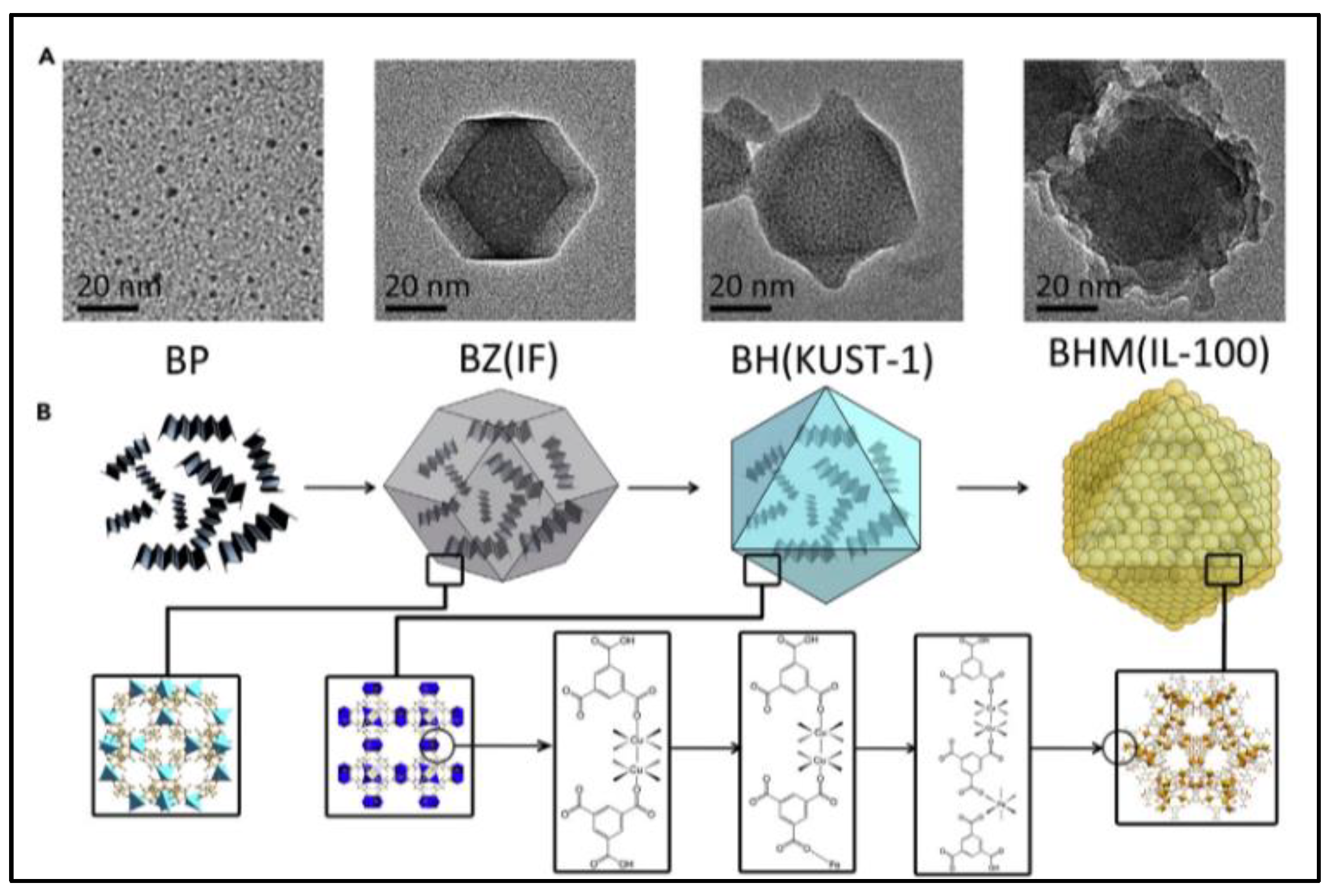Nanomaterials 13 00224 g006