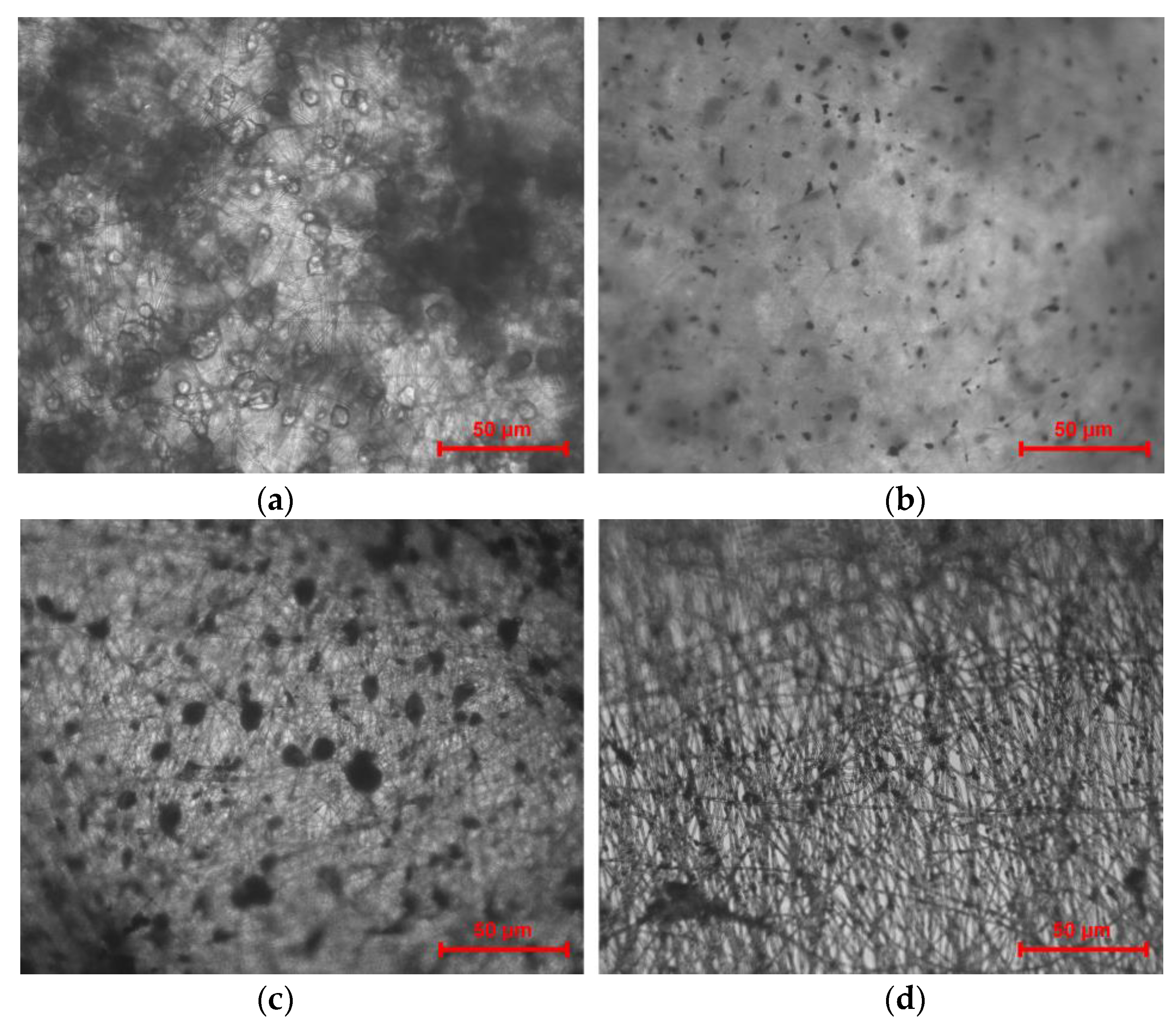 Nanomaterials 13 00236 g008 Nanomaterials 13 00236 g008