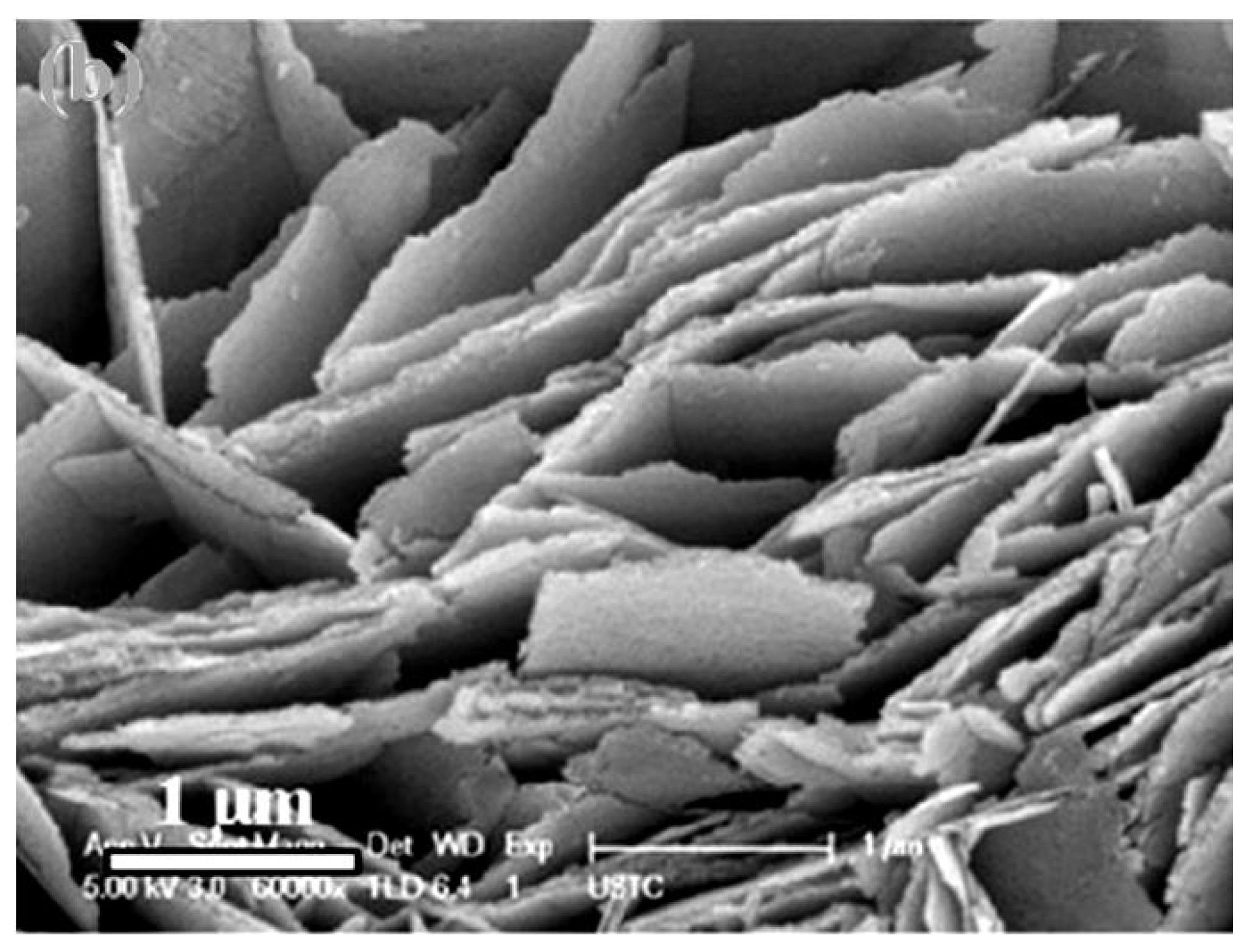 Nanomaterials 13 00237 g001 Nanomaterials 13 00237 g001