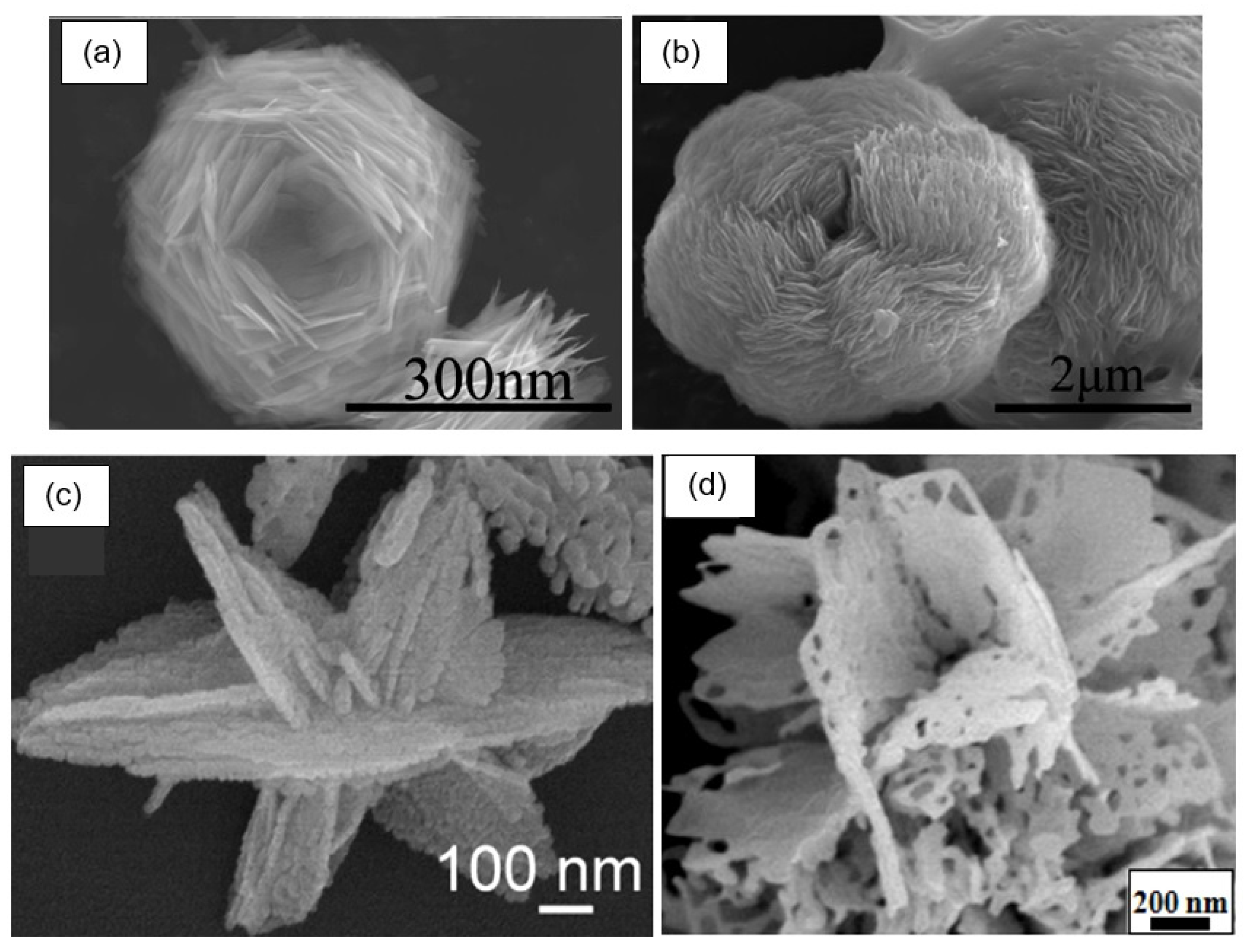 Nanomaterials 13 00237 g019 Nanomaterials 13 00237 g019