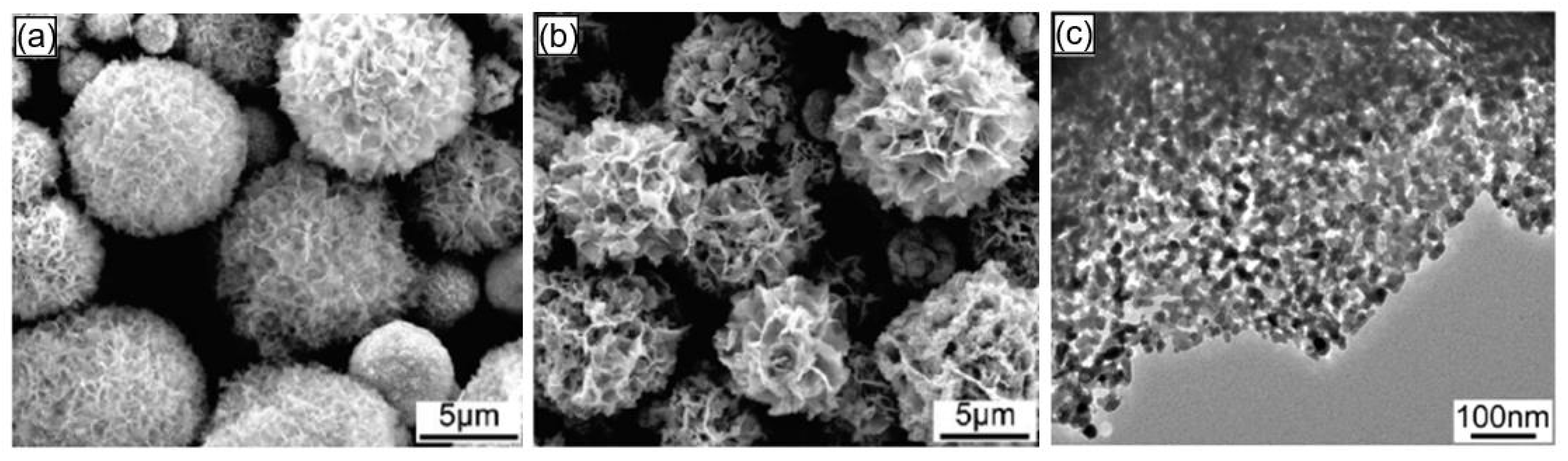 Nanomaterials 13 00237 g022 Nanomaterials 13 00237 g022