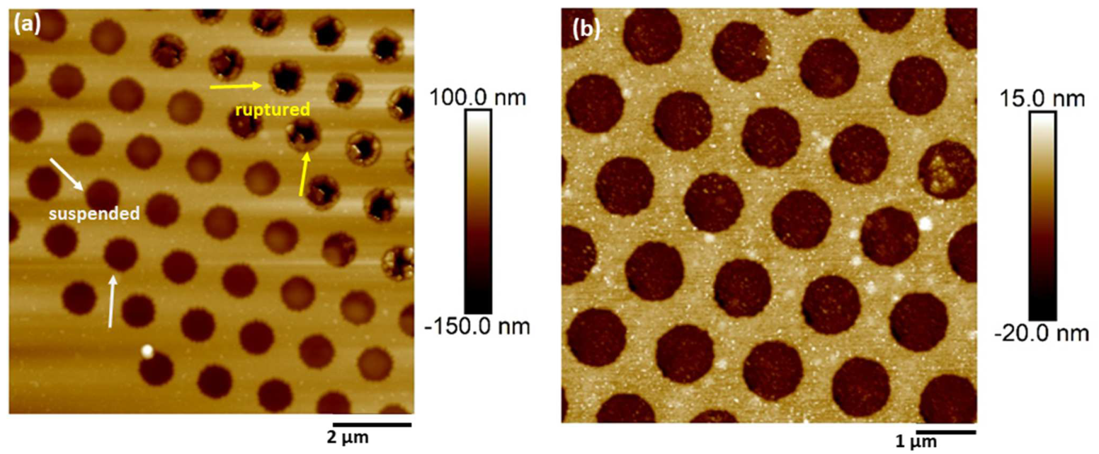 Nanomaterials 13 00267 g004