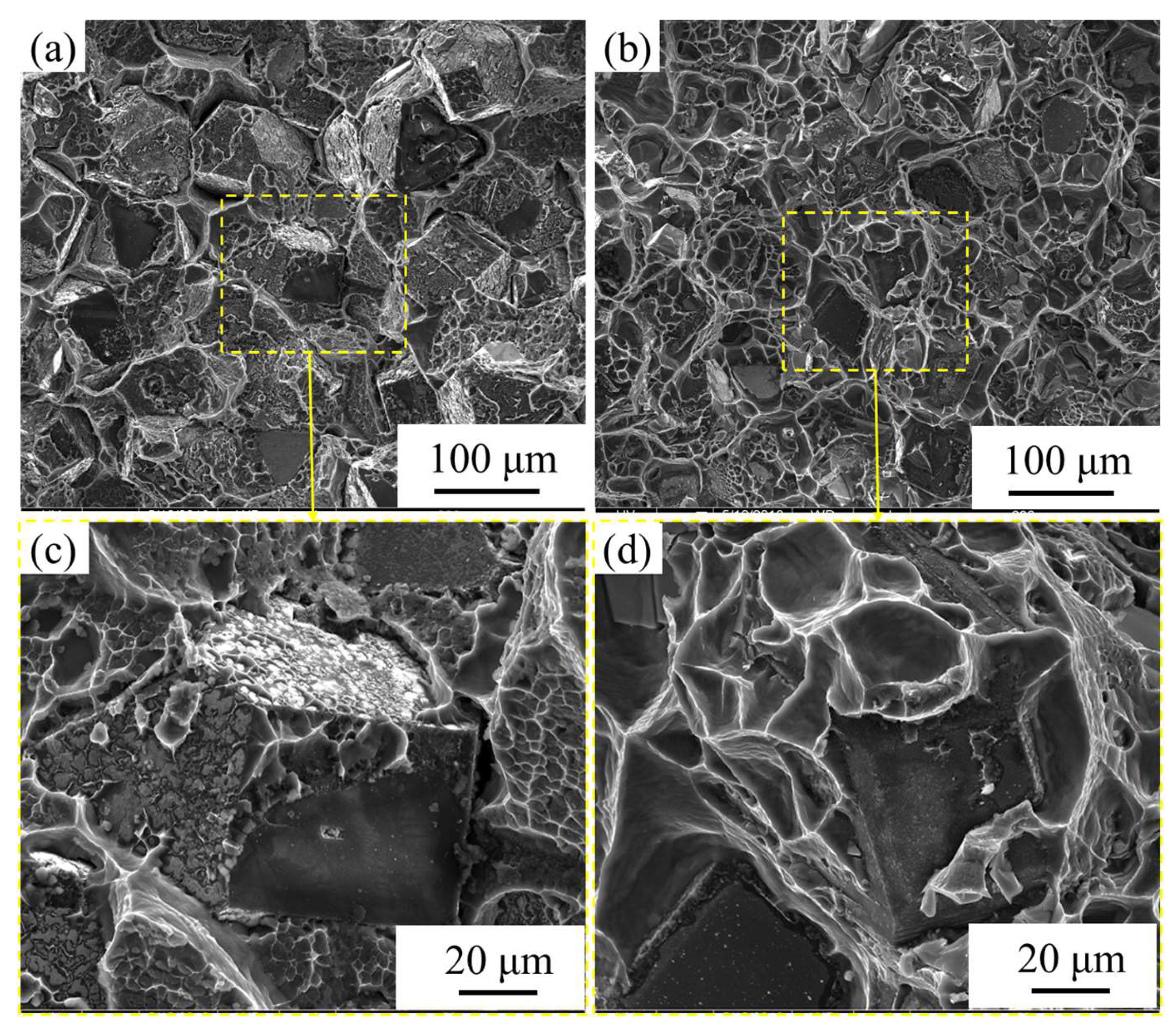 Nanomaterials 13 00307 g010