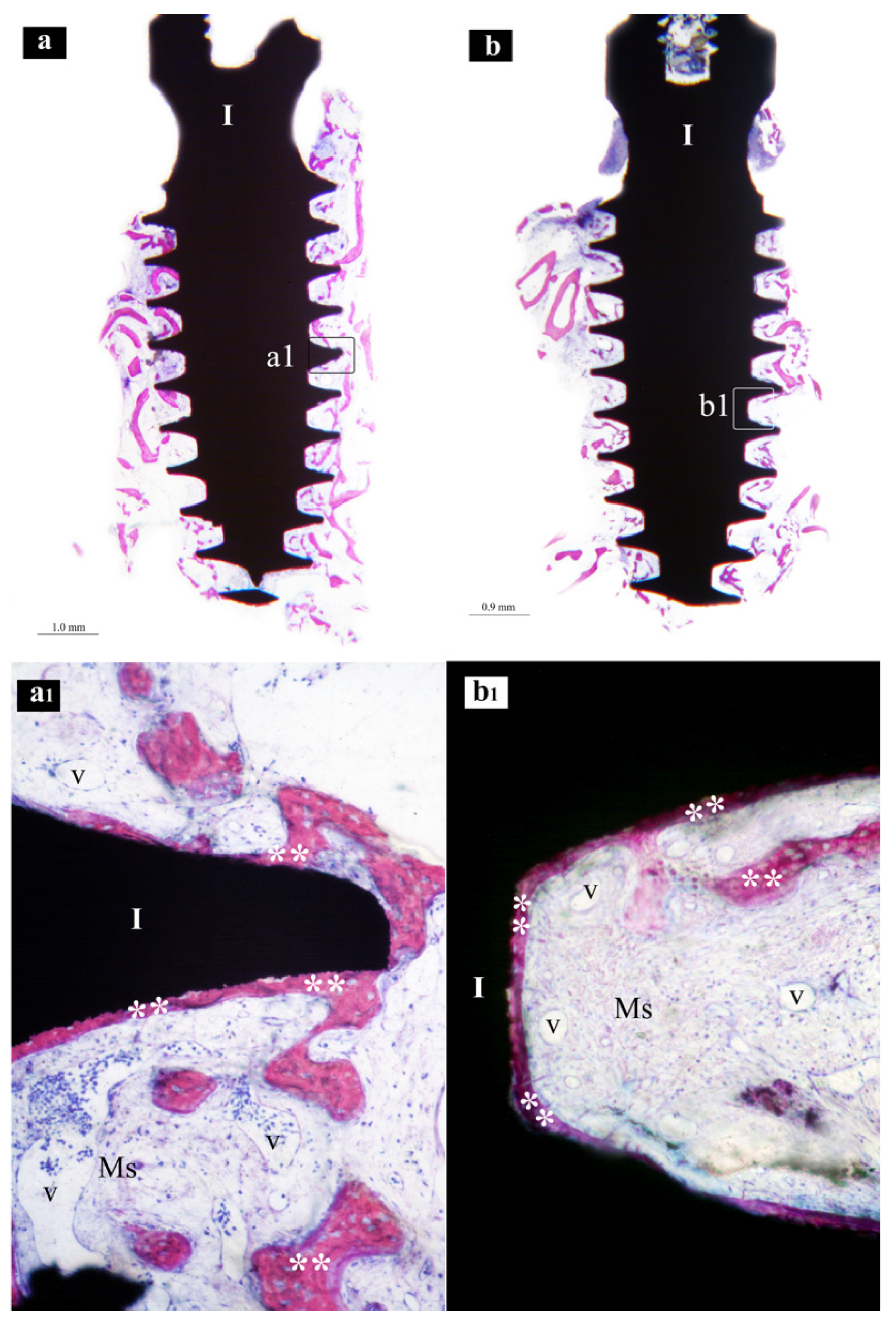 Nanomaterials 13 00357 g003 Nanomaterials 13 00357 g003