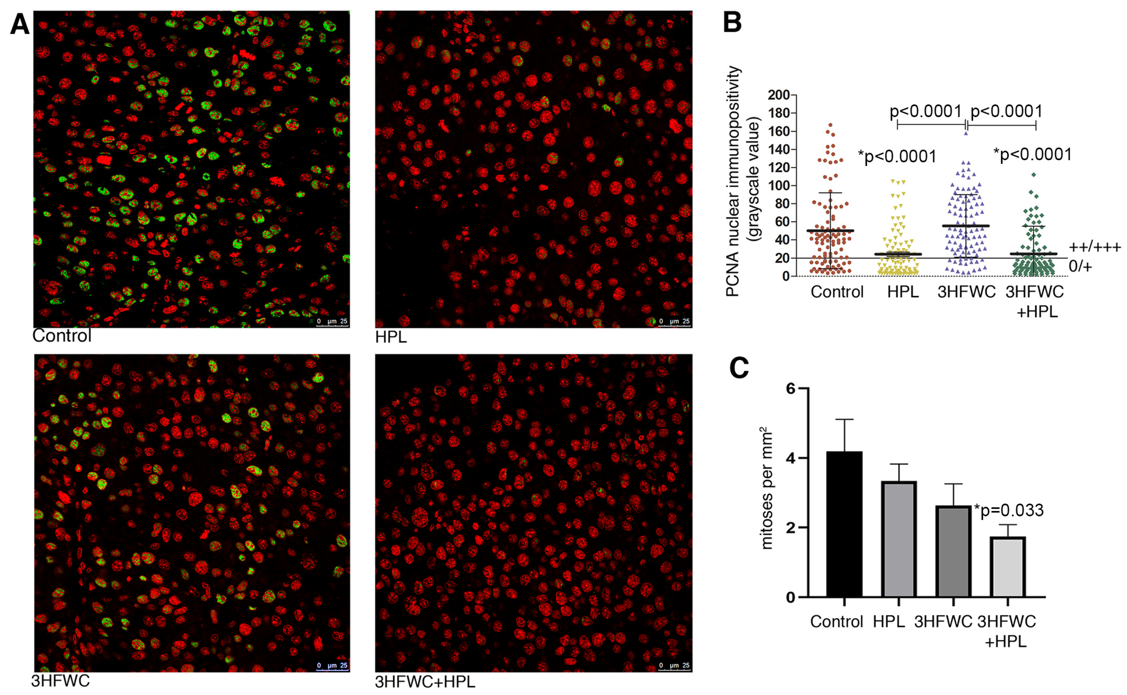 Nanomaterials 13 00372 g002