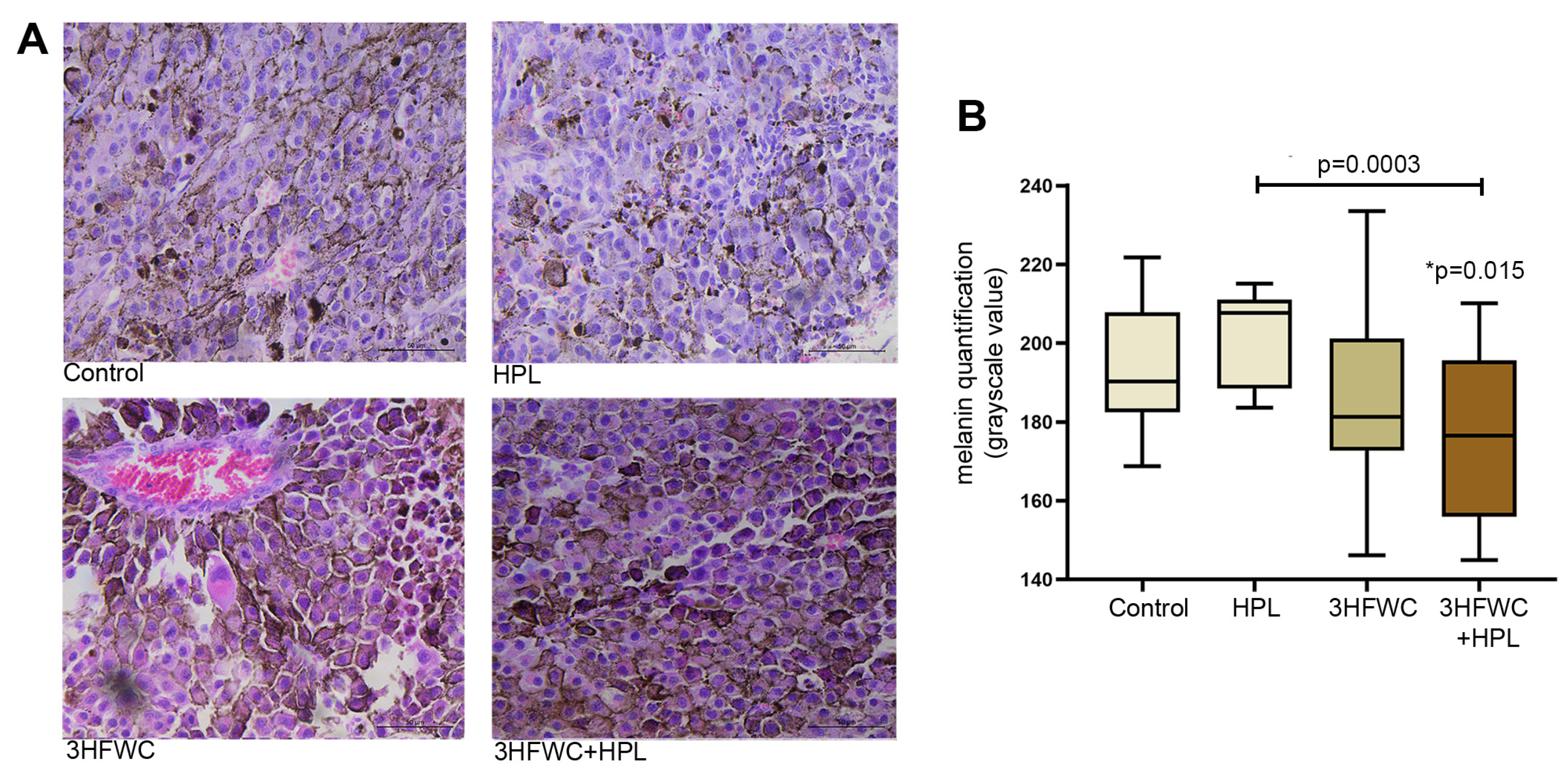 Nanomaterials 13 00372 g003