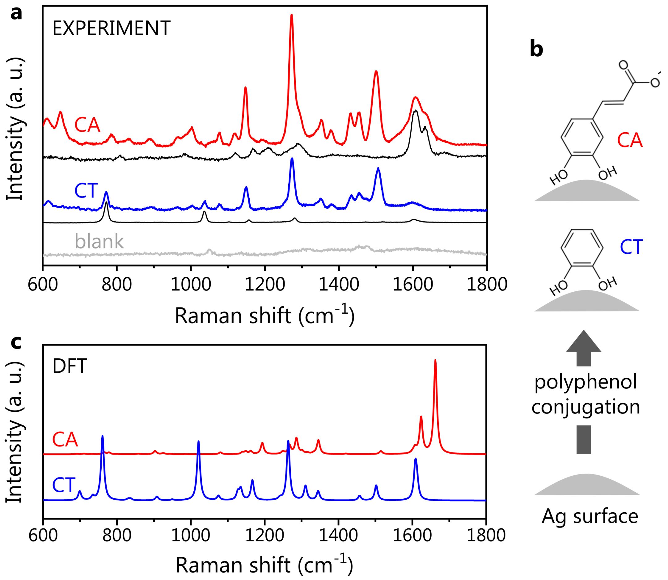 Nanomaterials 13 00377 g003