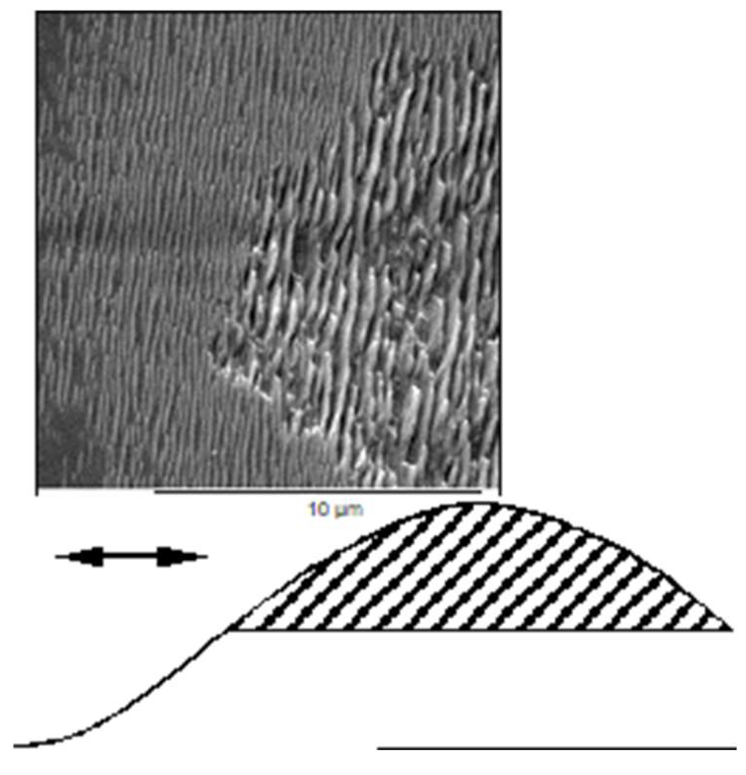 Nanomaterials 13 00379 g012 Nanomaterials 13 00379 g012