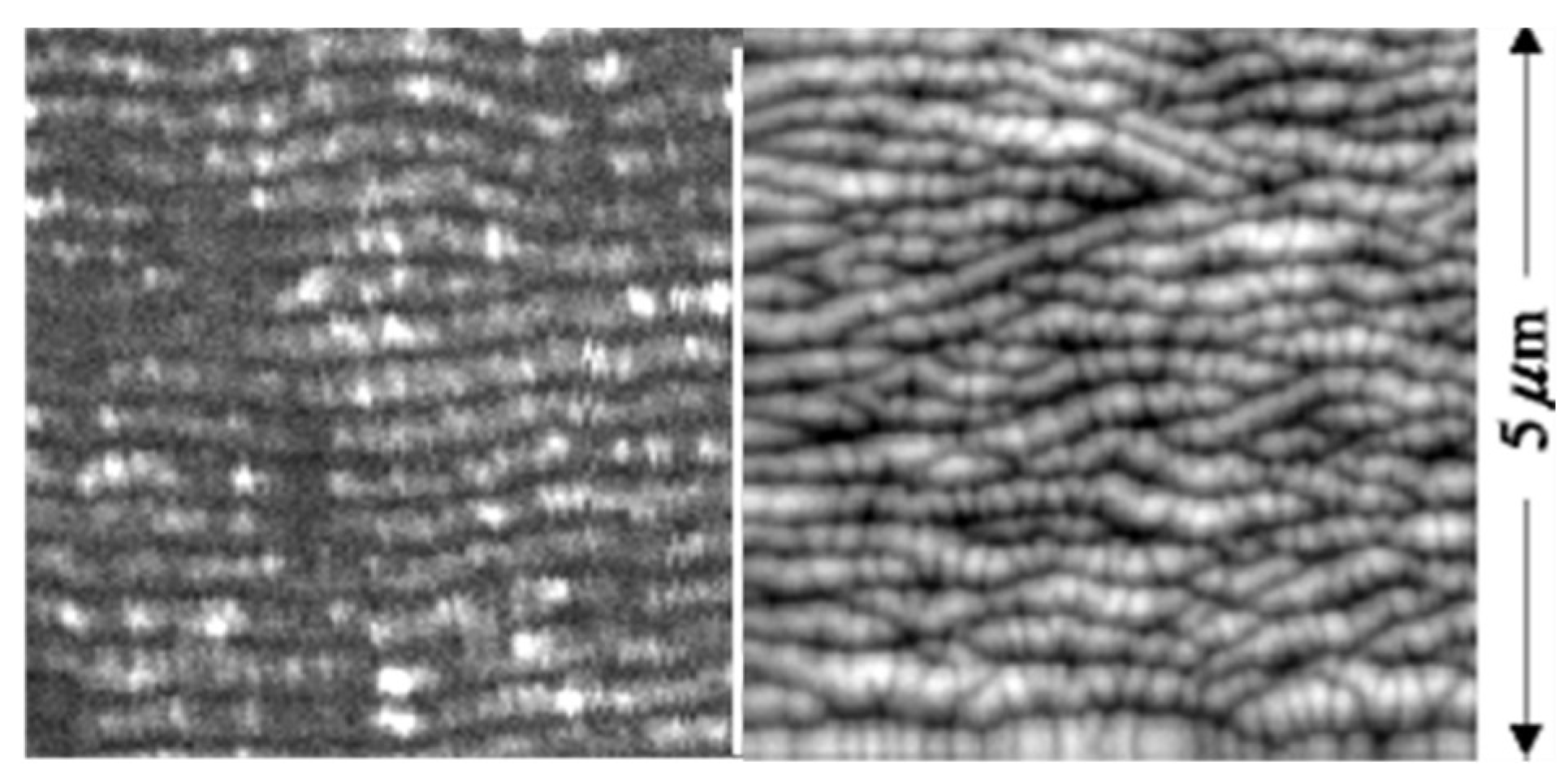 Nanomaterials 13 00379 g017 Nanomaterials 13 00379 g017