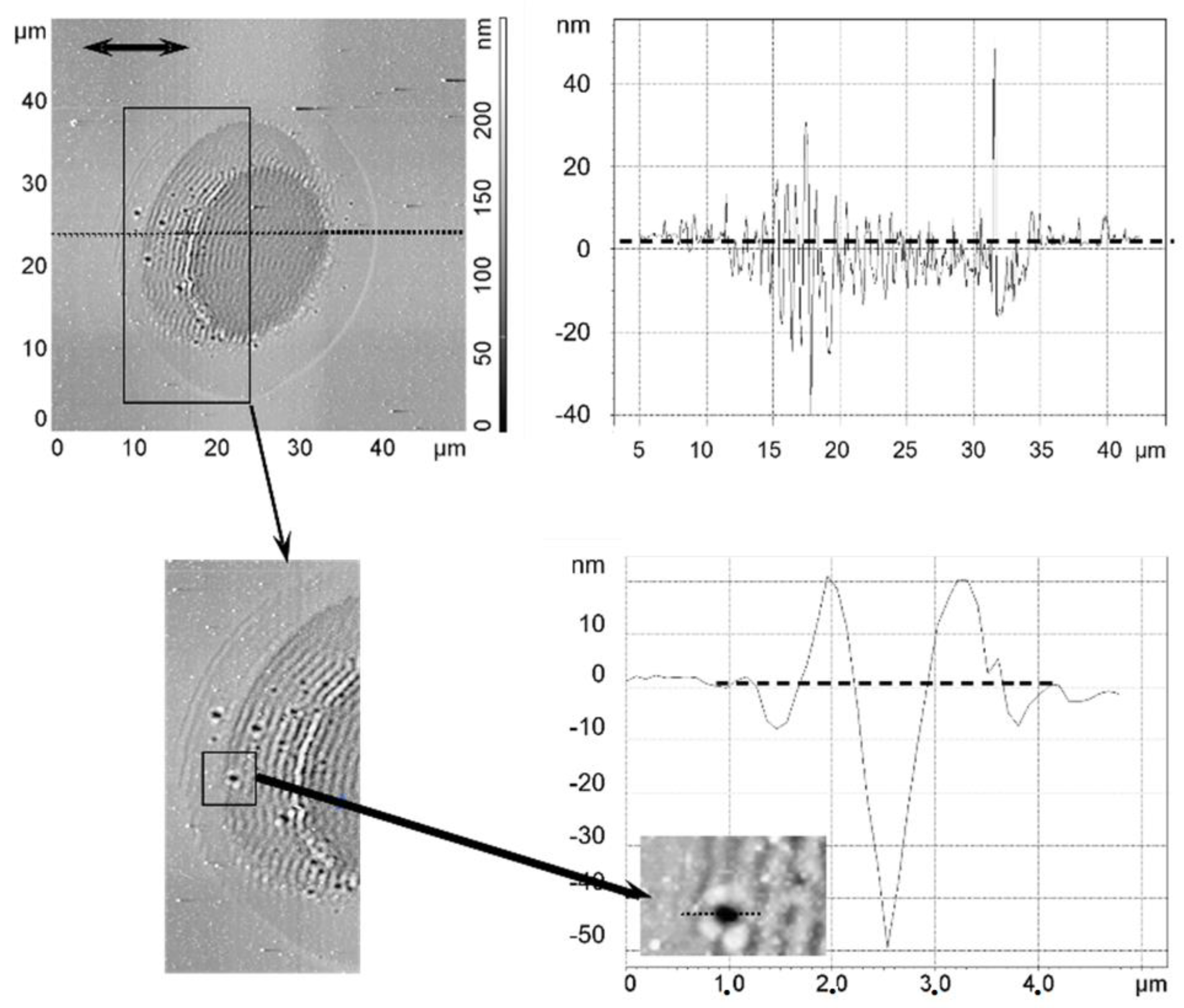 Nanomaterials 13 00379 g032 Nanomaterials 13 00379 g032
