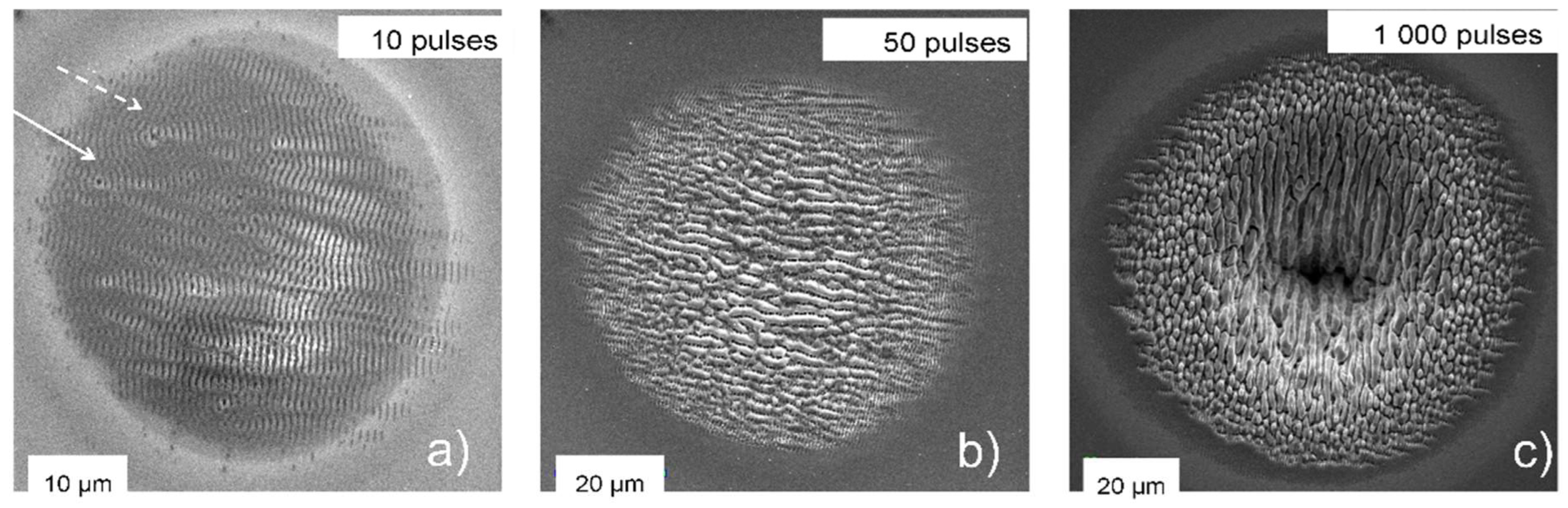 Nanomaterials 13 00379 g033 Nanomaterials 13 00379 g033