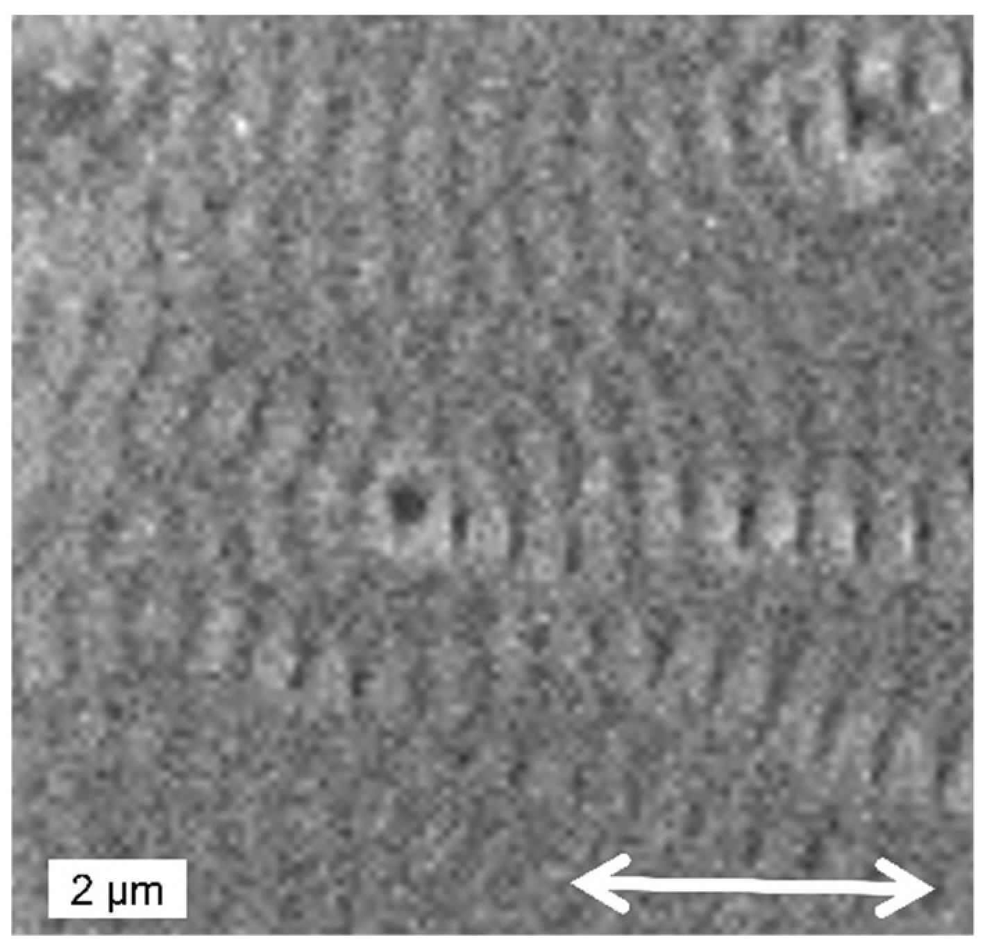 Nanomaterials 13 00379 g034 Nanomaterials 13 00379 g034