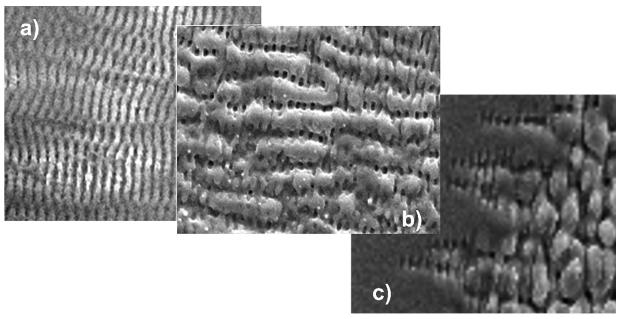 Nanomaterials 13 00379 g035 Nanomaterials 13 00379 g035