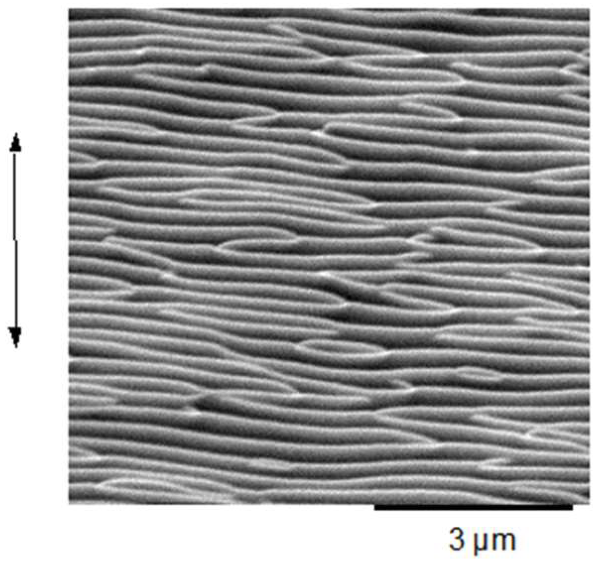 Nanomaterials 13 00379 g036 Nanomaterials 13 00379 g036