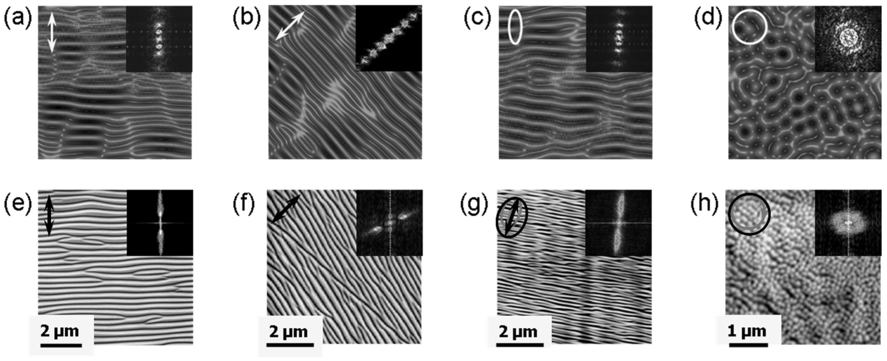 Nanomaterials 13 00379 g043 Nanomaterials 13 00379 g043