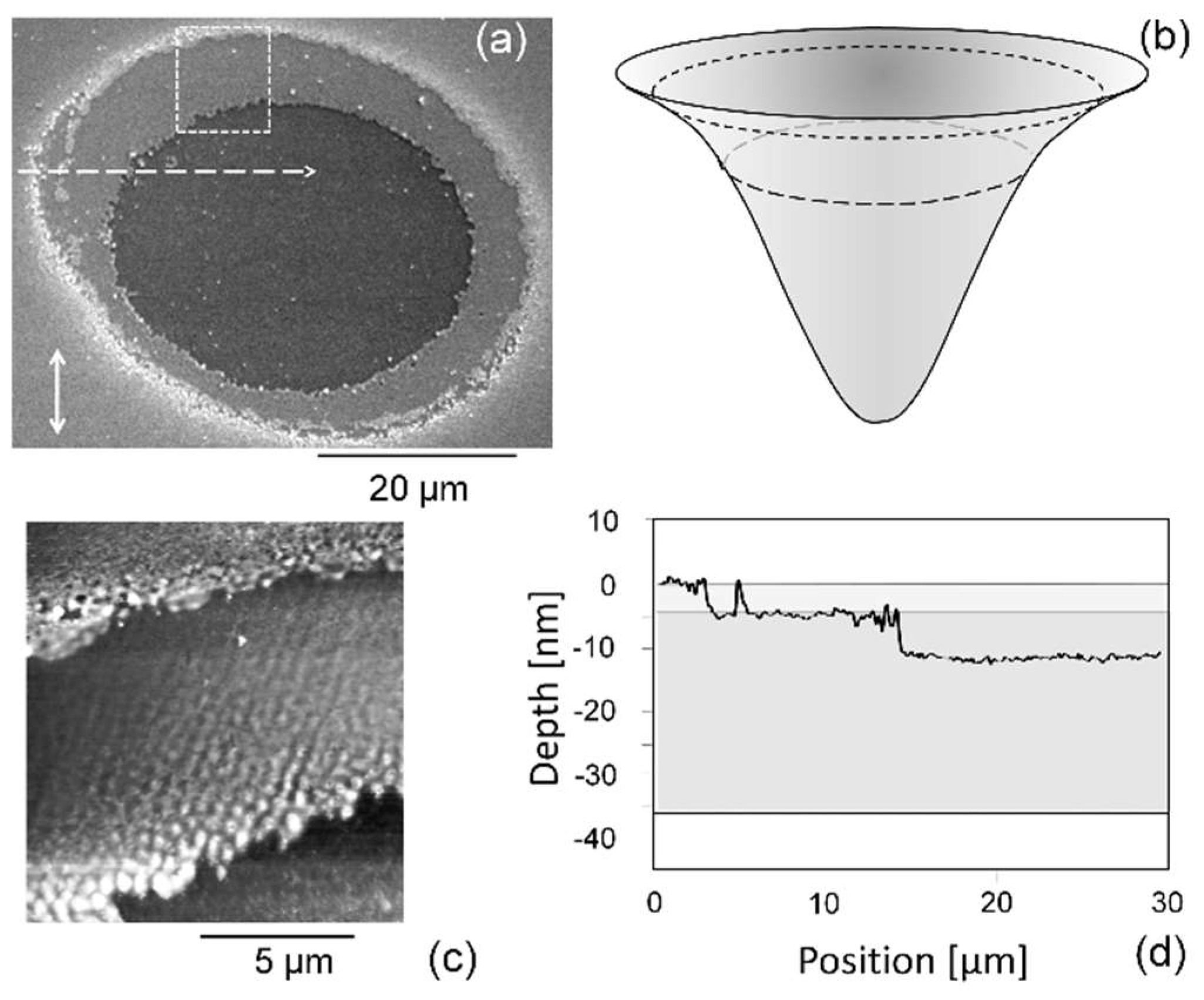 Nanomaterials 13 00379 g045 Nanomaterials 13 00379 g045