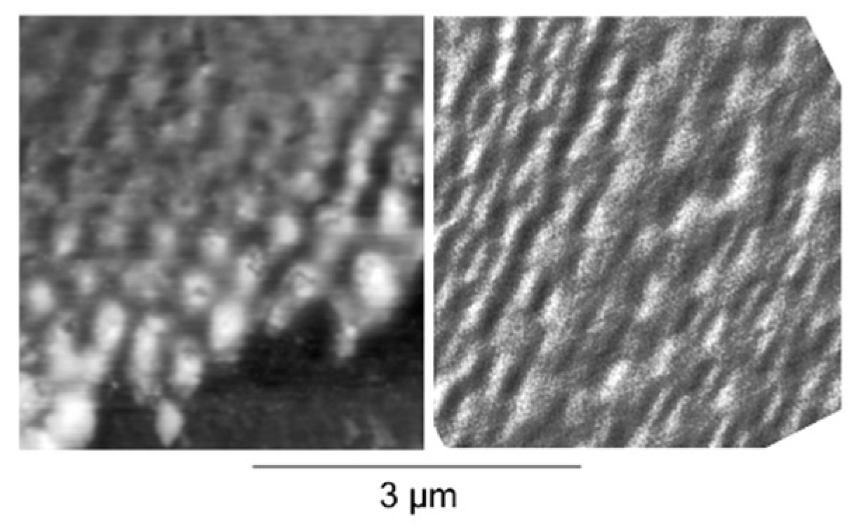 Nanomaterials 13 00379 g046 Nanomaterials 13 00379 g046