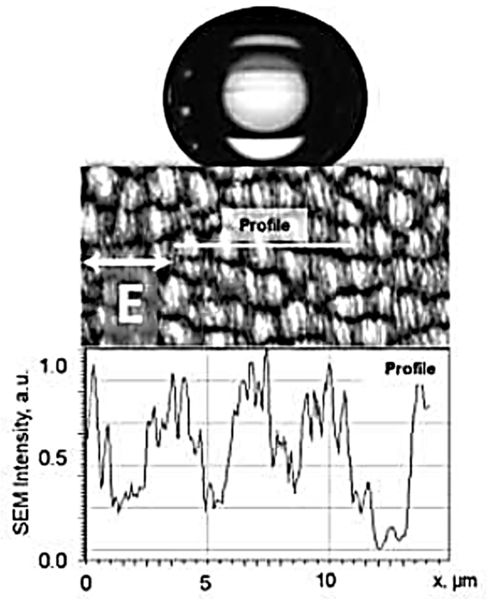 Nanomaterials 13 00379 g055 Nanomaterials 13 00379 g055