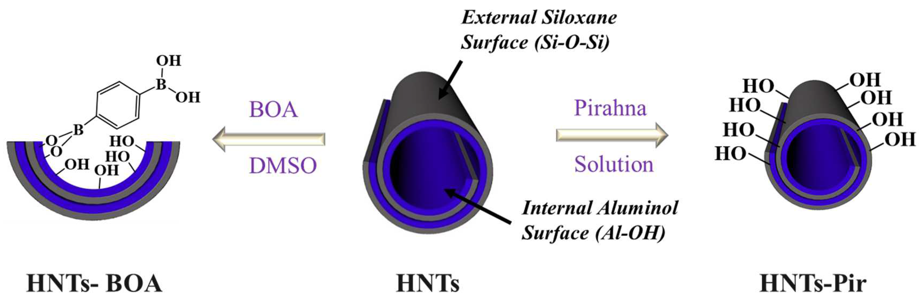 Nanomaterials 13 00394 sch001