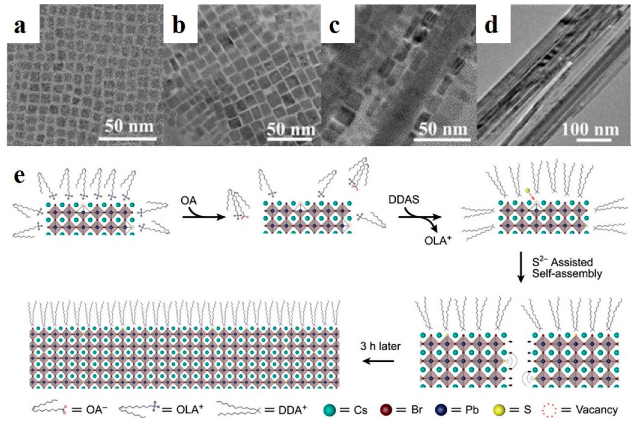 Nanomaterials 13 00419 g005 Nanomaterials 13 00419 g005