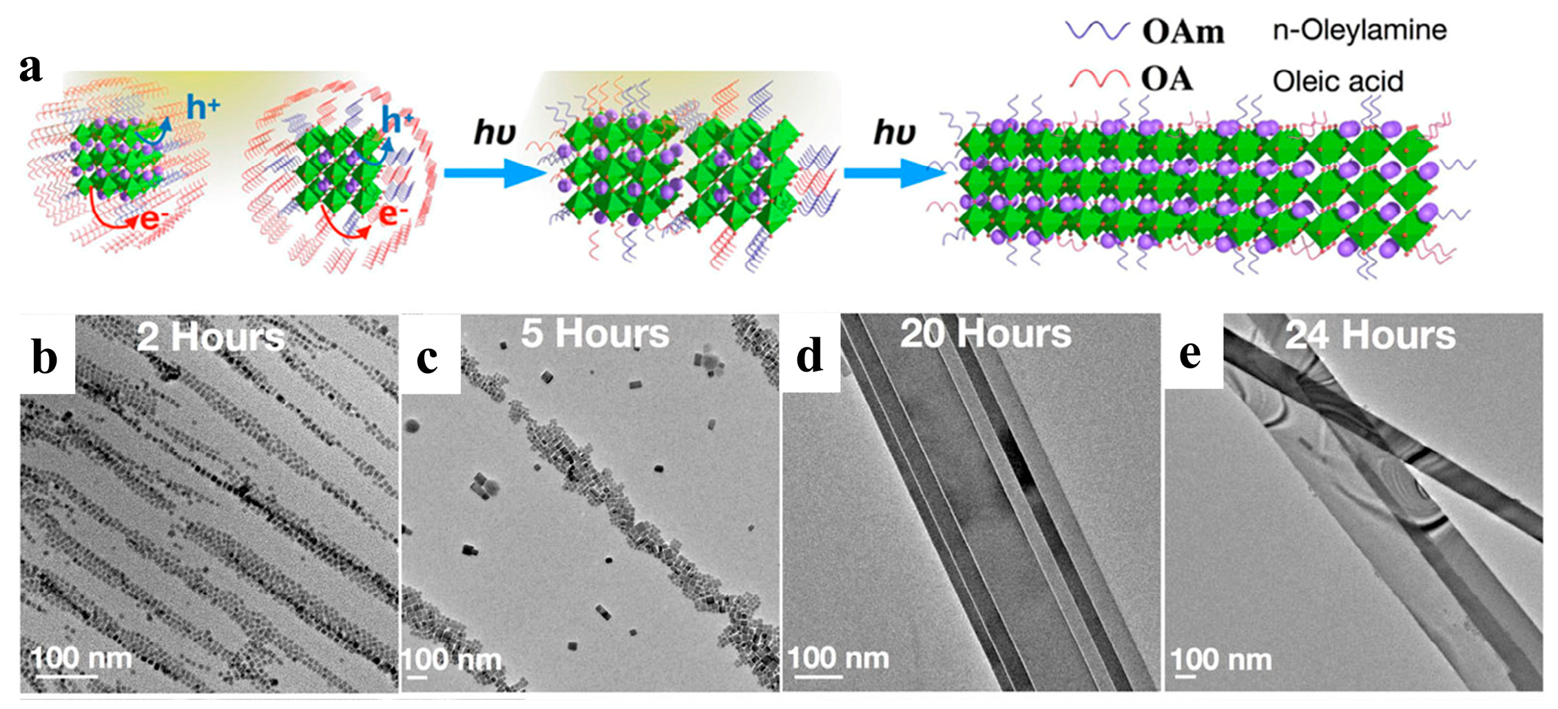Nanomaterials 13 00419 g006 Nanomaterials 13 00419 g006