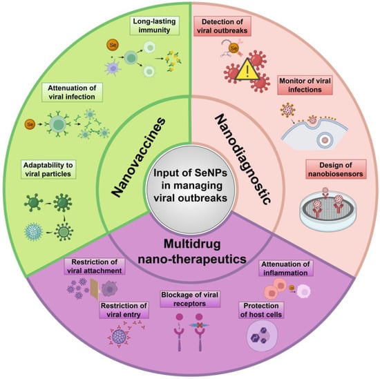 Full article: Biomedical Potential of Plant-Based Selenium Nanoparticles: A  Comprehensive Review on Therapeutic and Mechanistic Aspects