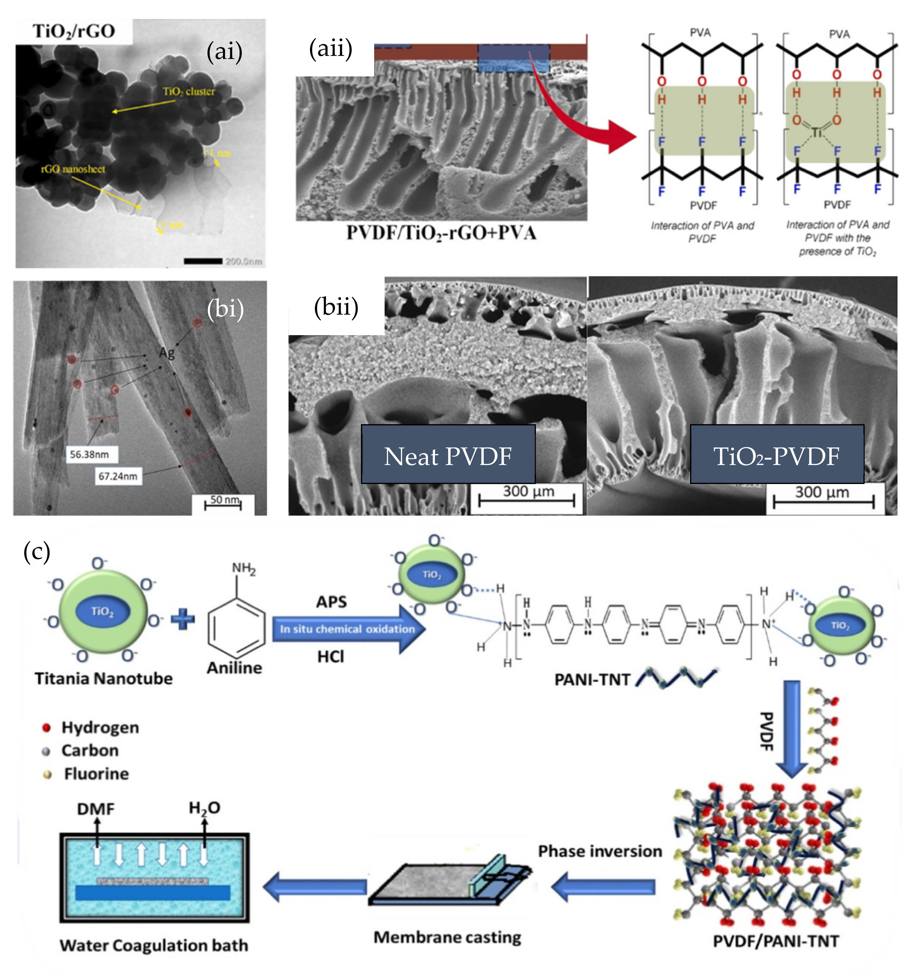 Nanomaterials 13 00448 g005 Nanomaterials 13 00448 g005