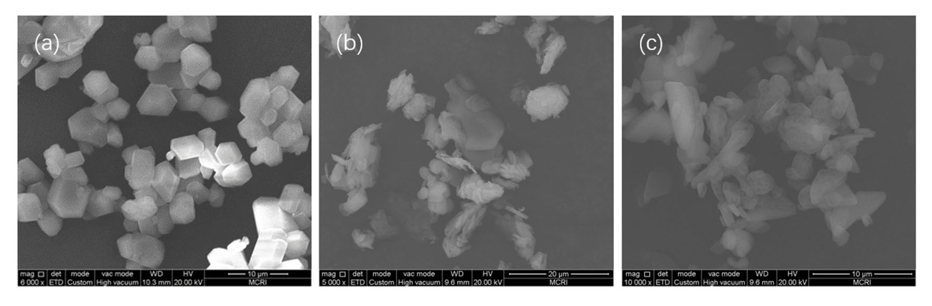Nanomaterials 13 00464 g007
