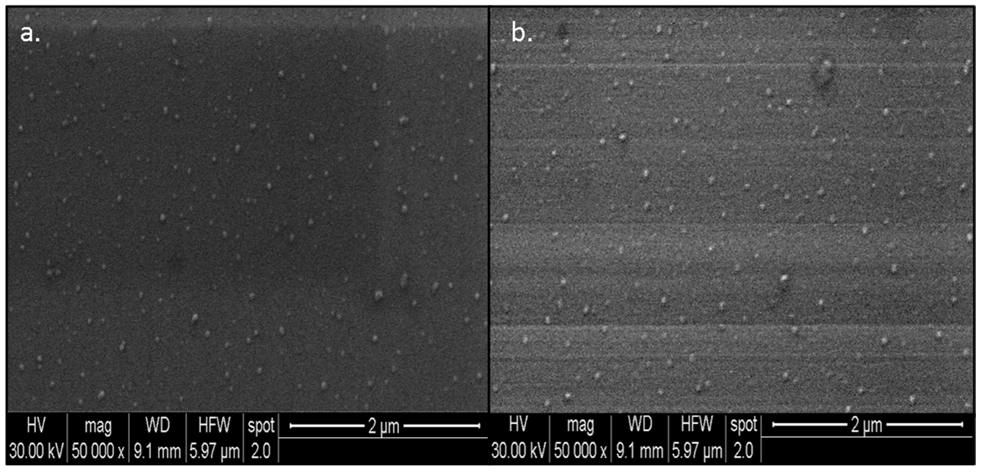 Nanomaterials 13 00475 g004