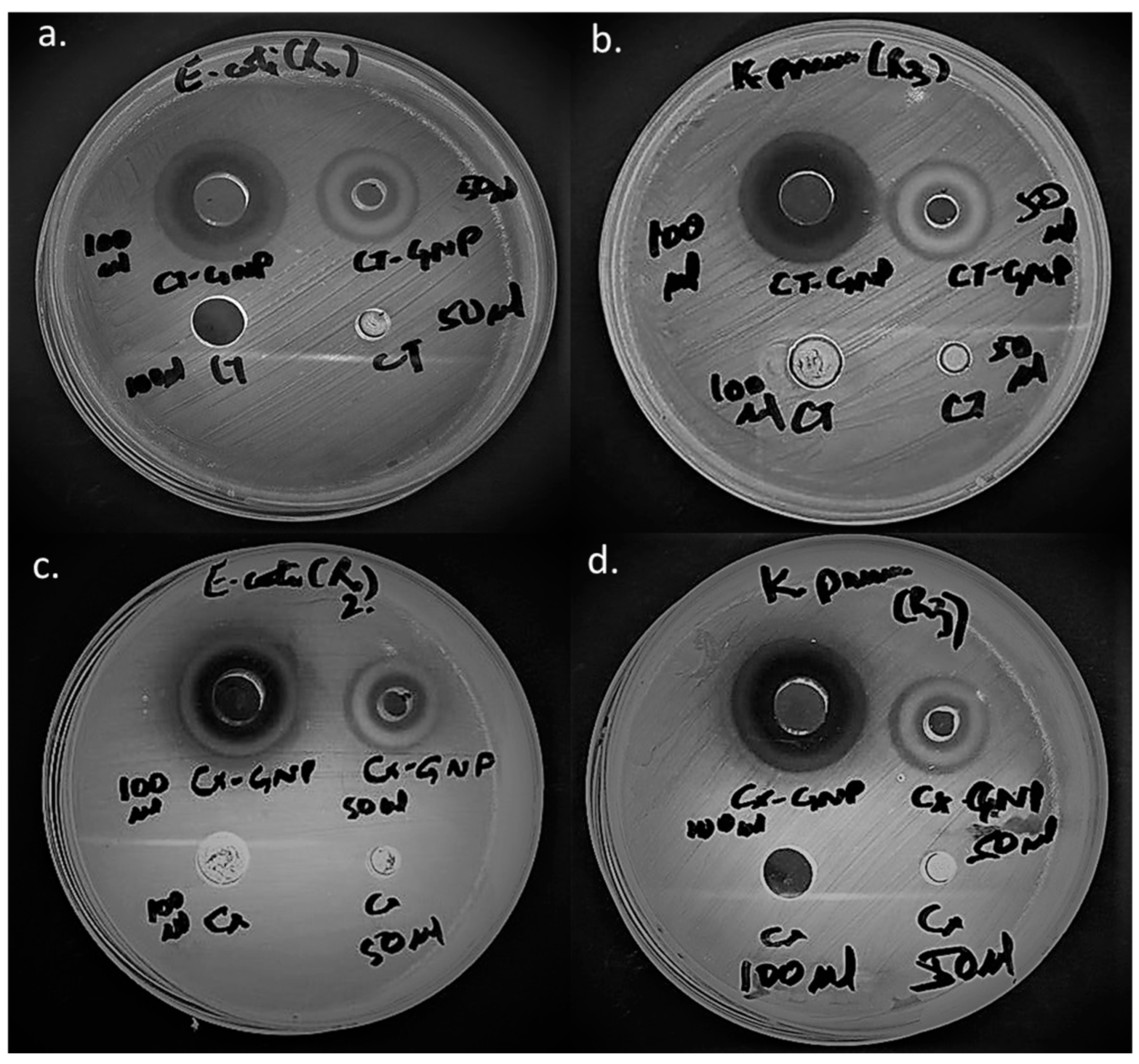 Nanomaterials 13 00475 g006
