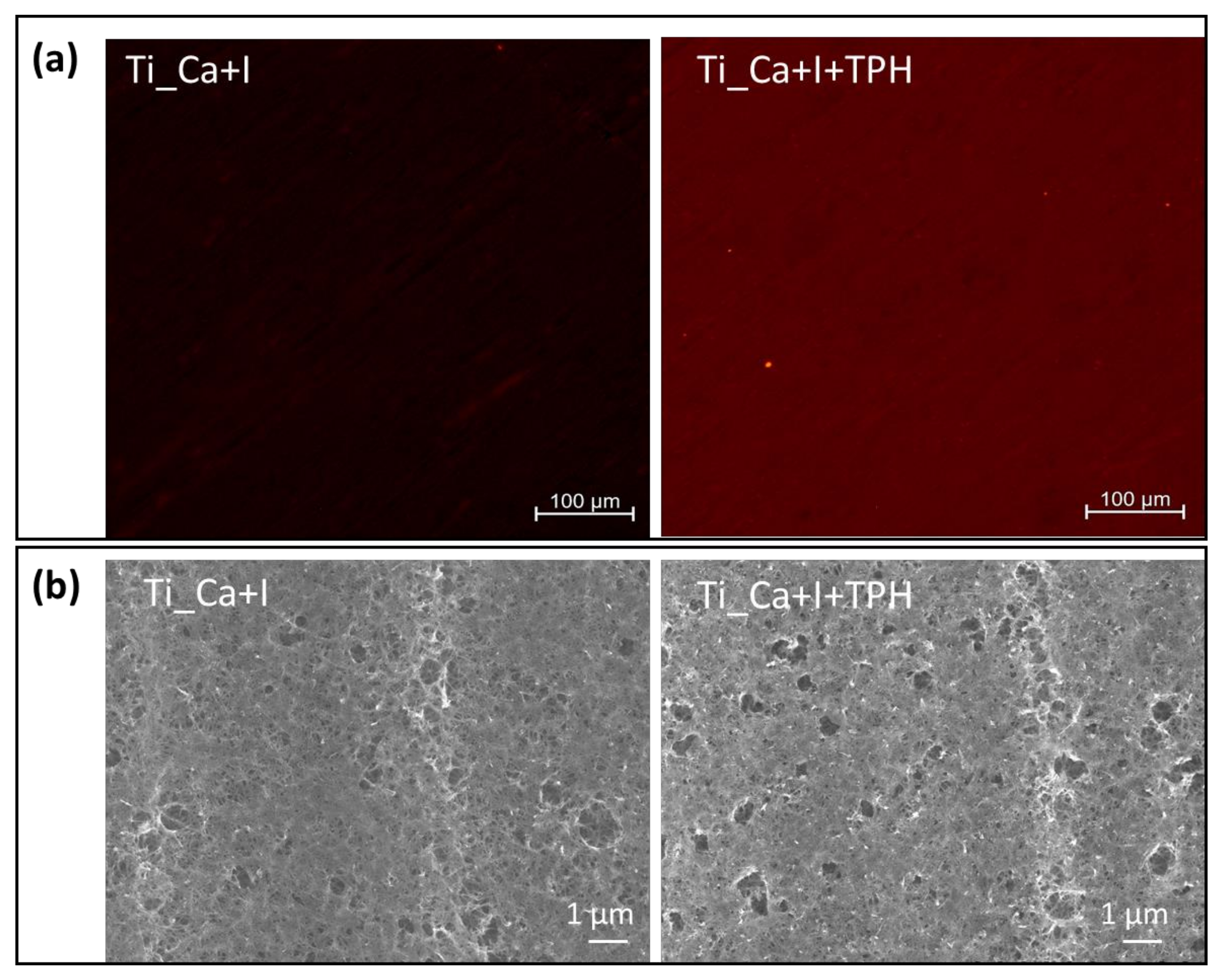 Nanomaterials 13 00479 g006 Nanomaterials 13 00479 g006