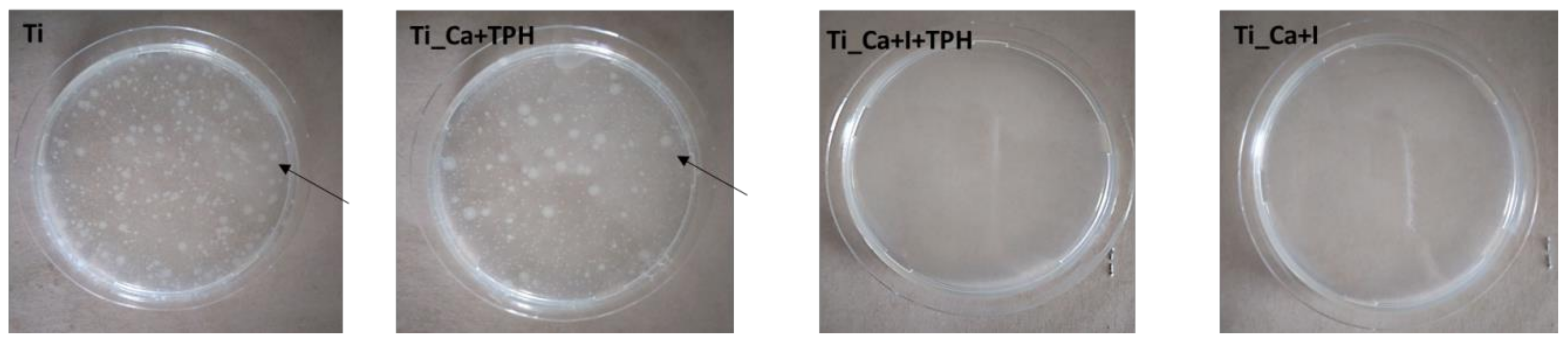 Nanomaterials 13 00479 g008 Nanomaterials 13 00479 g008